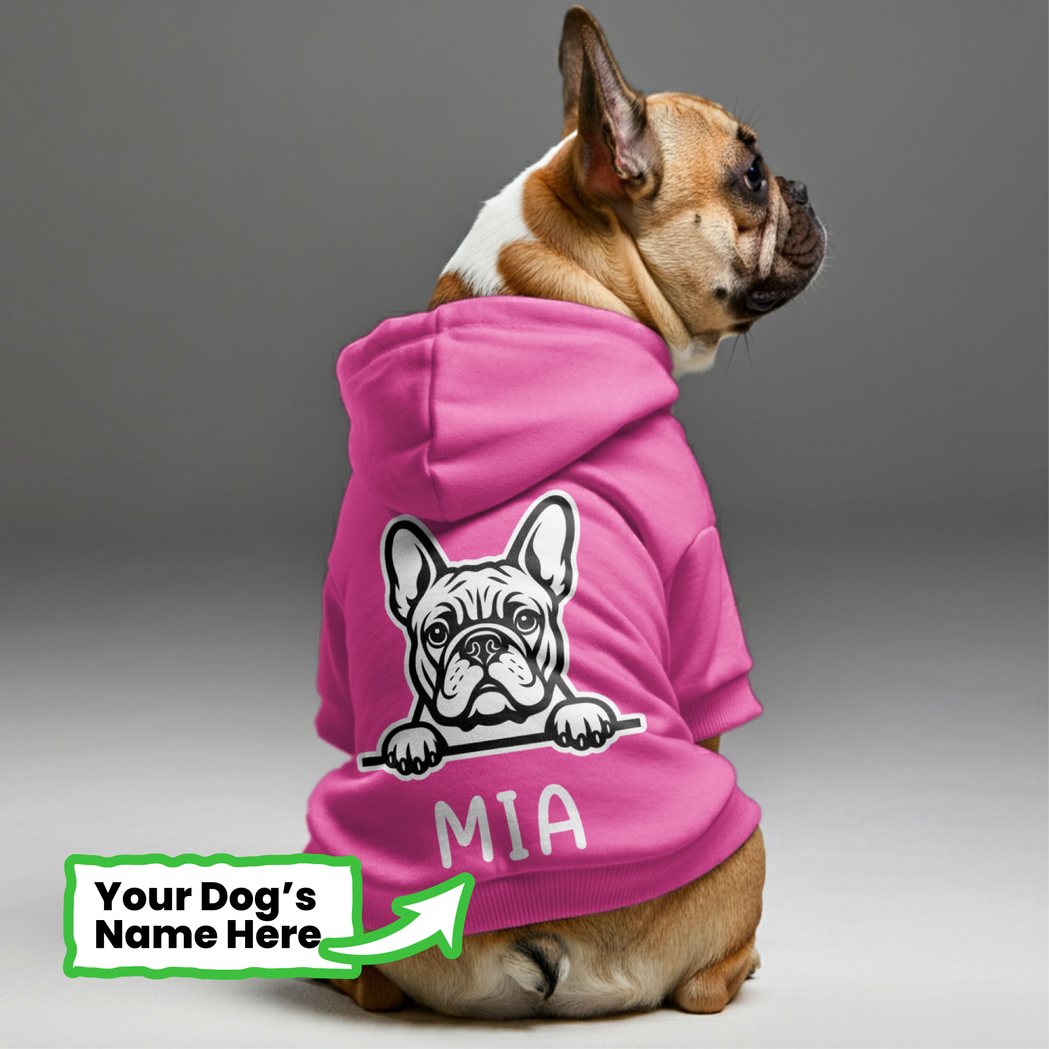 French Bulldog Premium Pet Sweatshirt for Travel Comfort-fadou