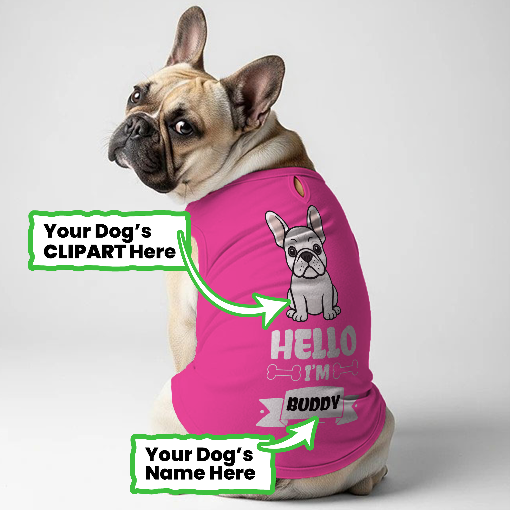 Frenchie Personalized Unisex Shirt for Frenchie Enthusiasts-fadou