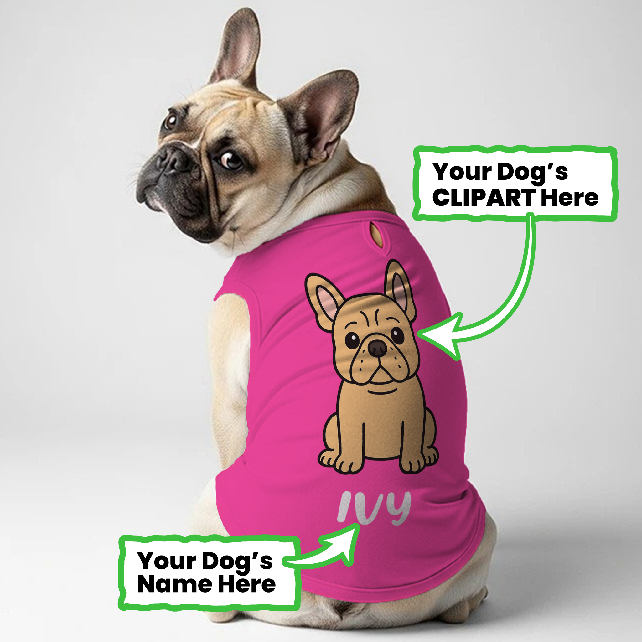 French Bulldog Personalized Graphic Tee for Frenchie Enthusiasts-fadou