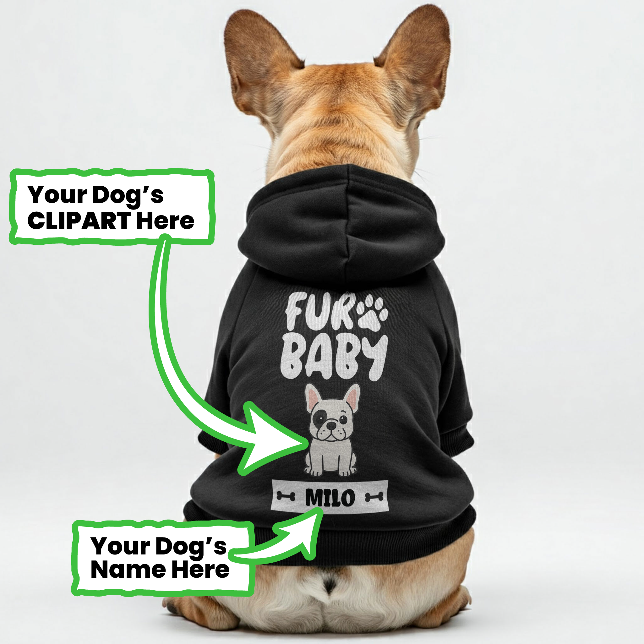 French Bulldog Personalized Pet Sweatshirt for Training Sessions-fadou