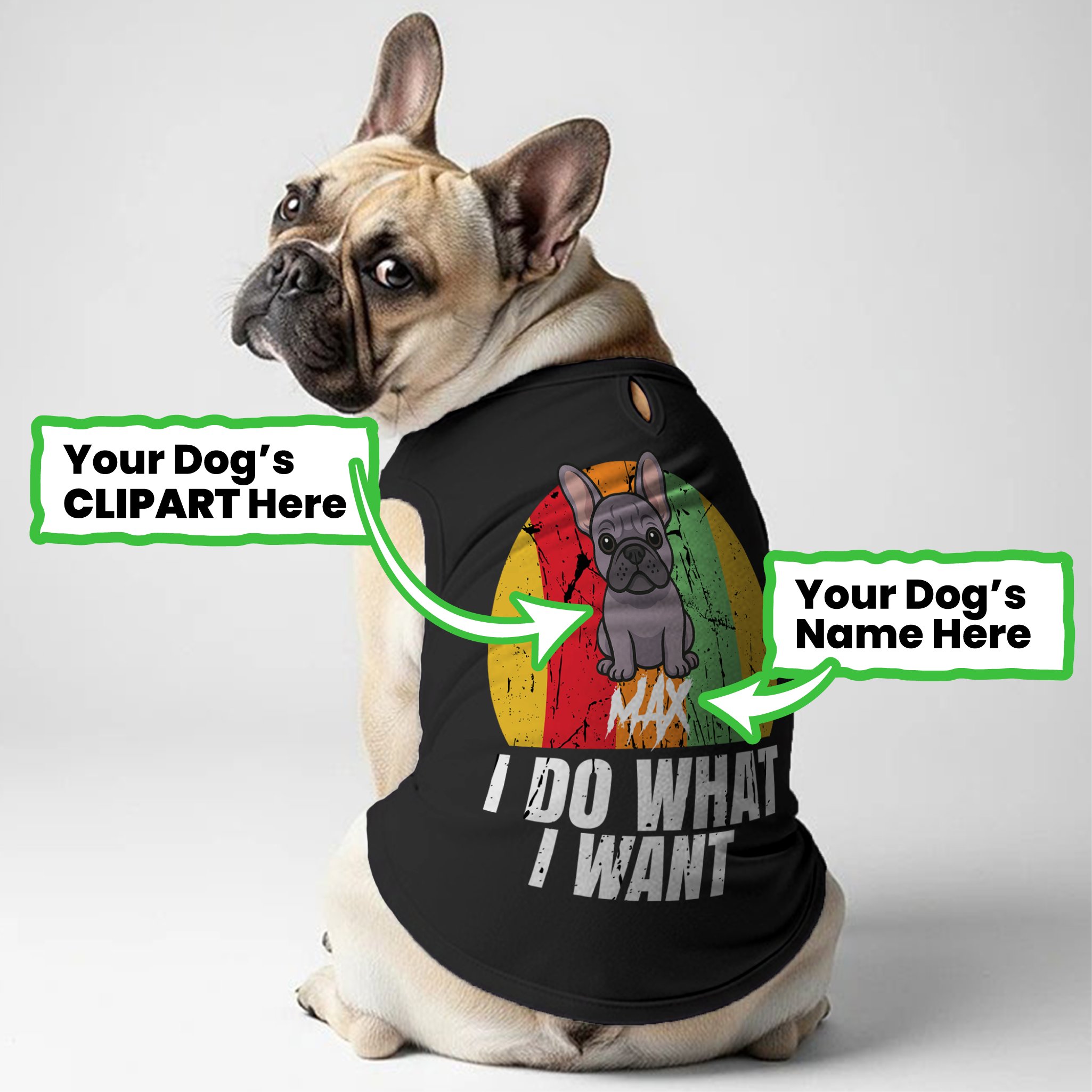 Custom Personalized Graphic Tee for Frenchie Enthusiasts-fadou