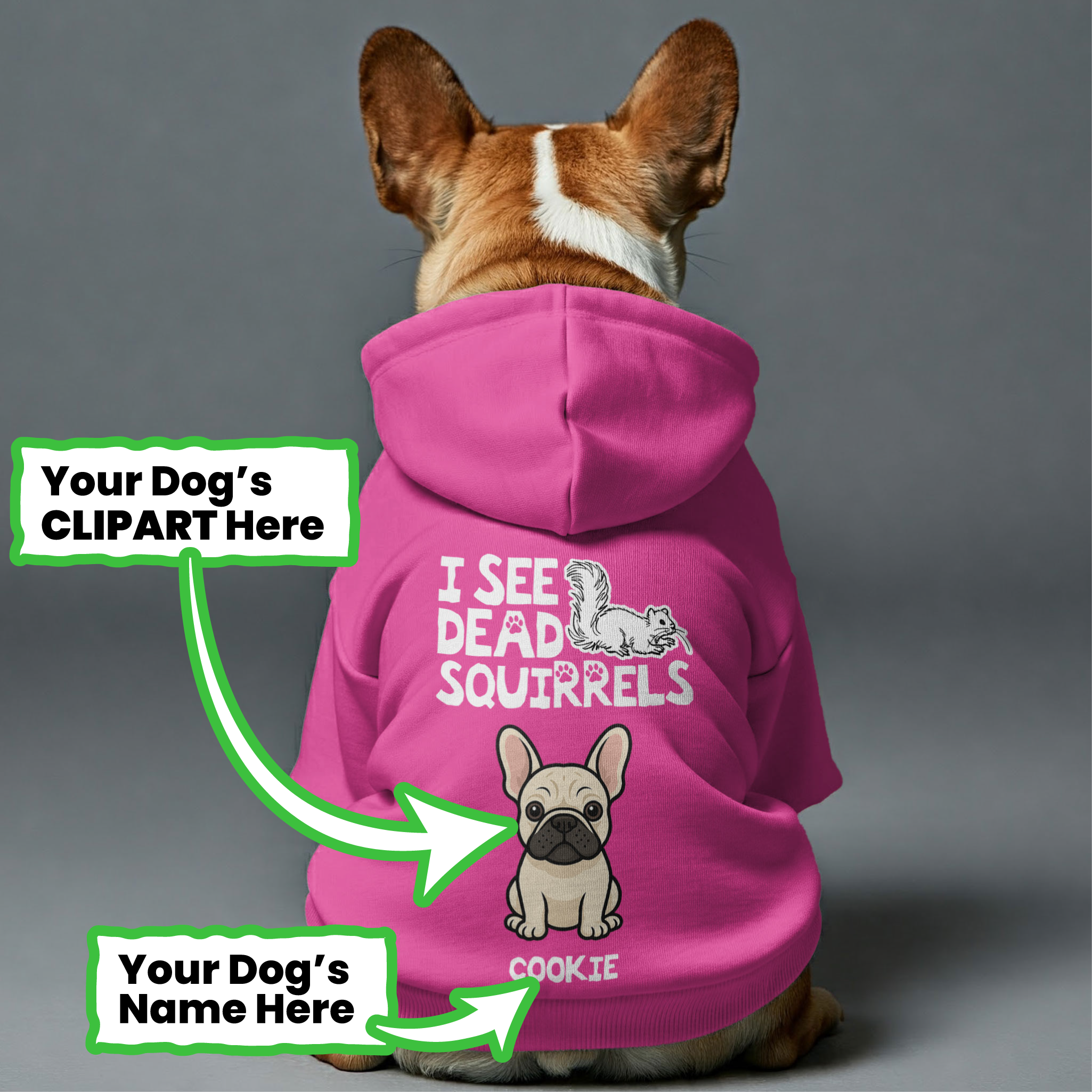 Squirrels French Bulldog Pet Sweatshirt for Cozy Nights-fadou