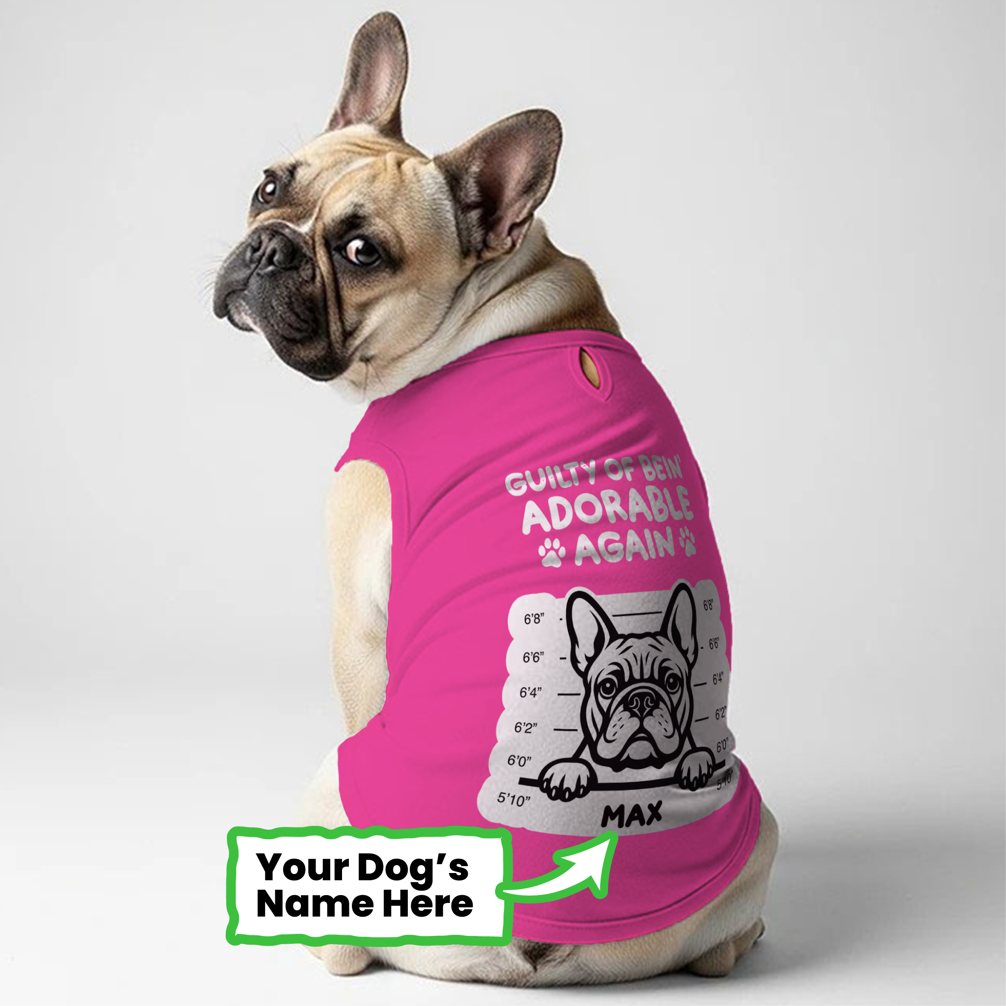 French Bulldog Personalized Unisex Shirt for Dog Lovers-fadou