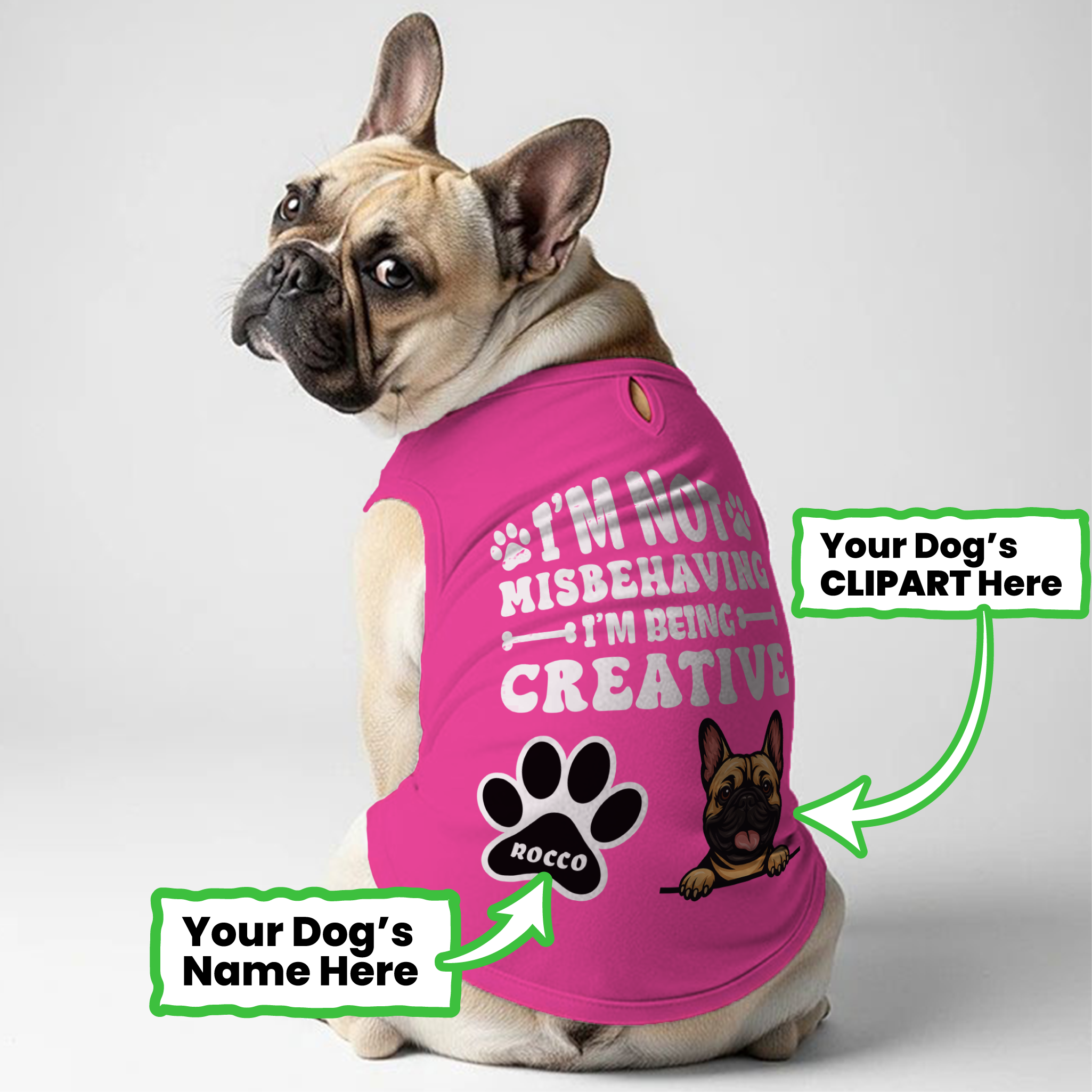 Frenchie Personalized Dog Lover Tee for Frenchie Enthusiasts-fadou