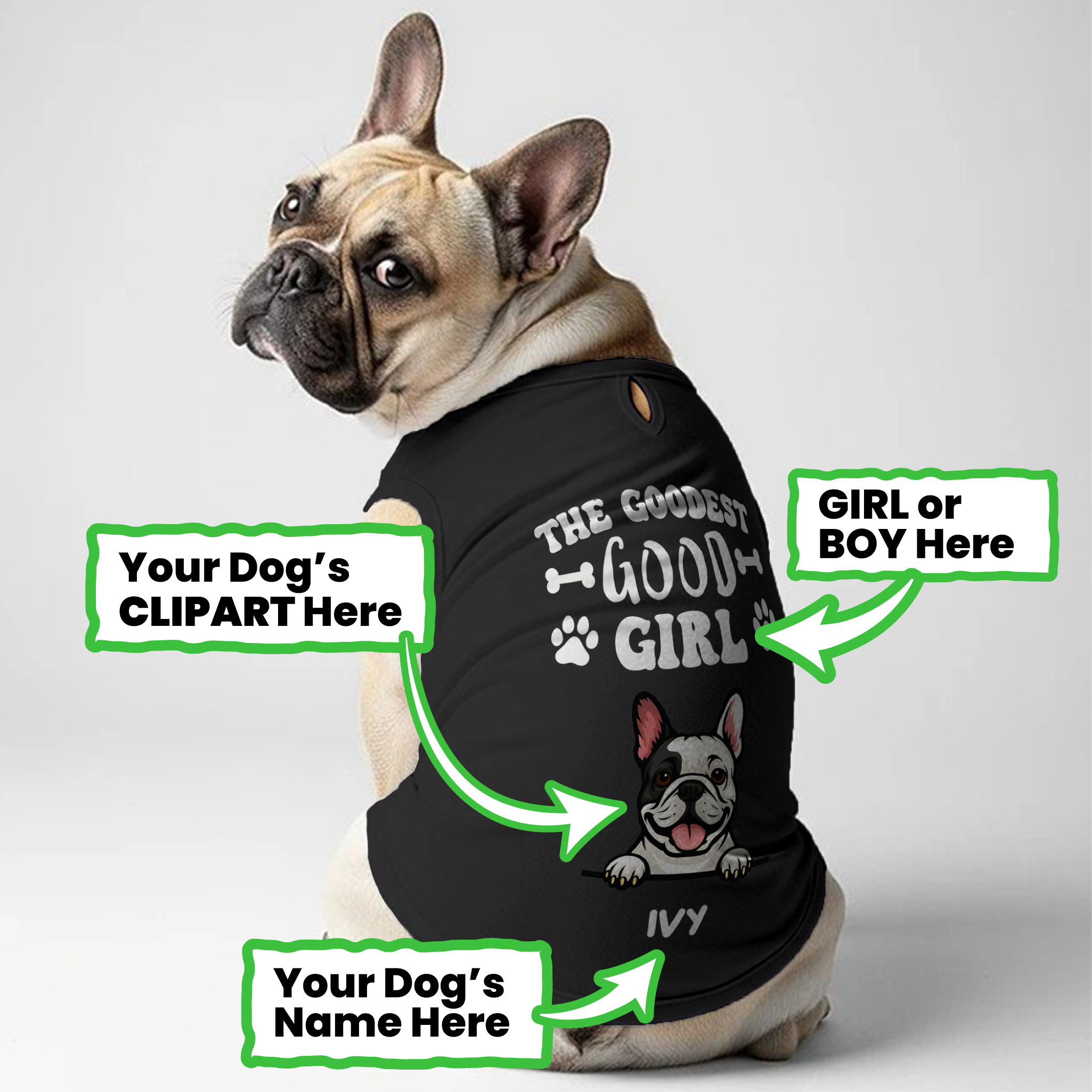 Frenchie Personalized Cotton T-Shirt for Frenchie Enthusiasts-fadou