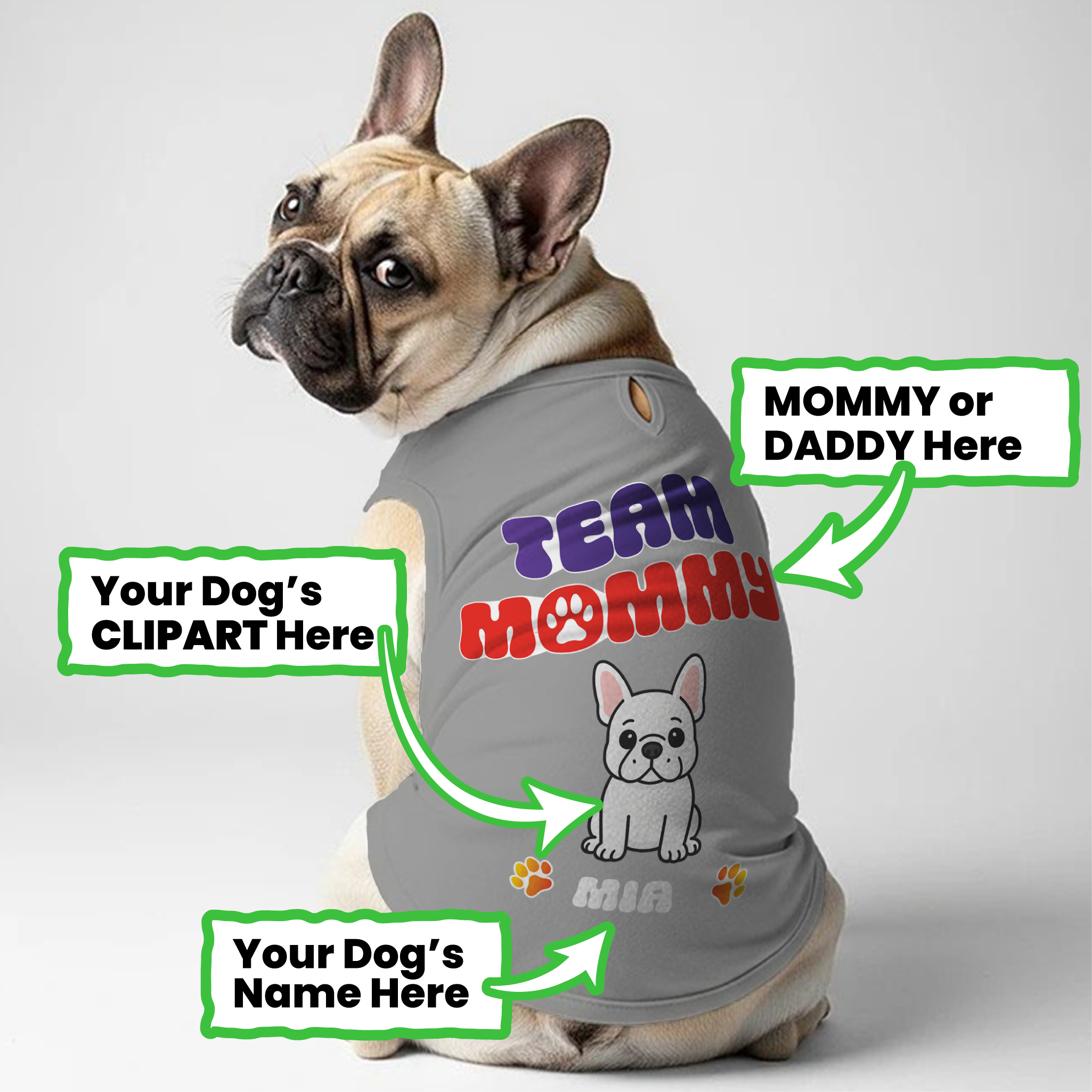 French Bulldog Personalized Dog Lover Tee for Dog Park Days-fadou
