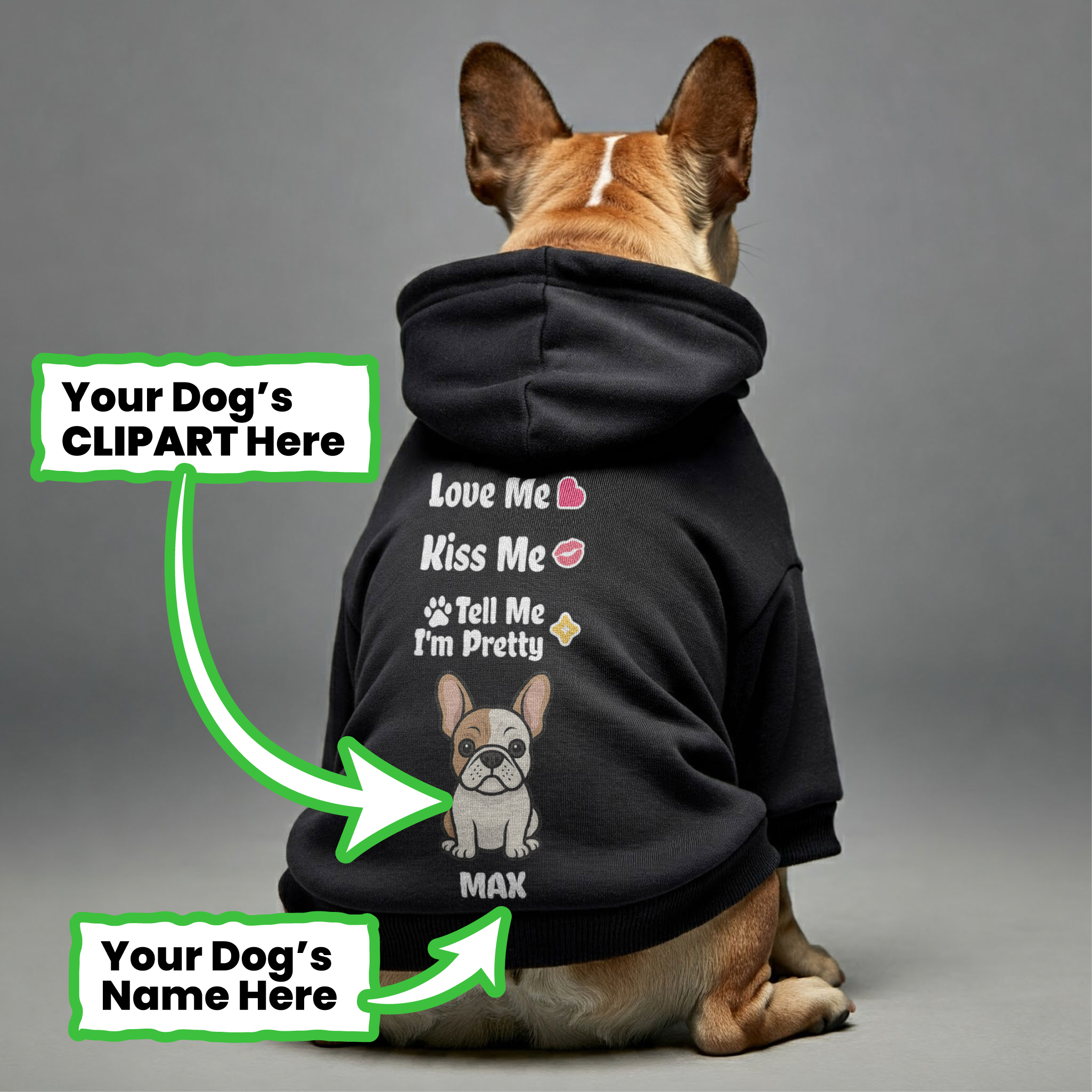 French Bulldog Custom Pet Sweatshirt for Outdoor Adventures-fadou