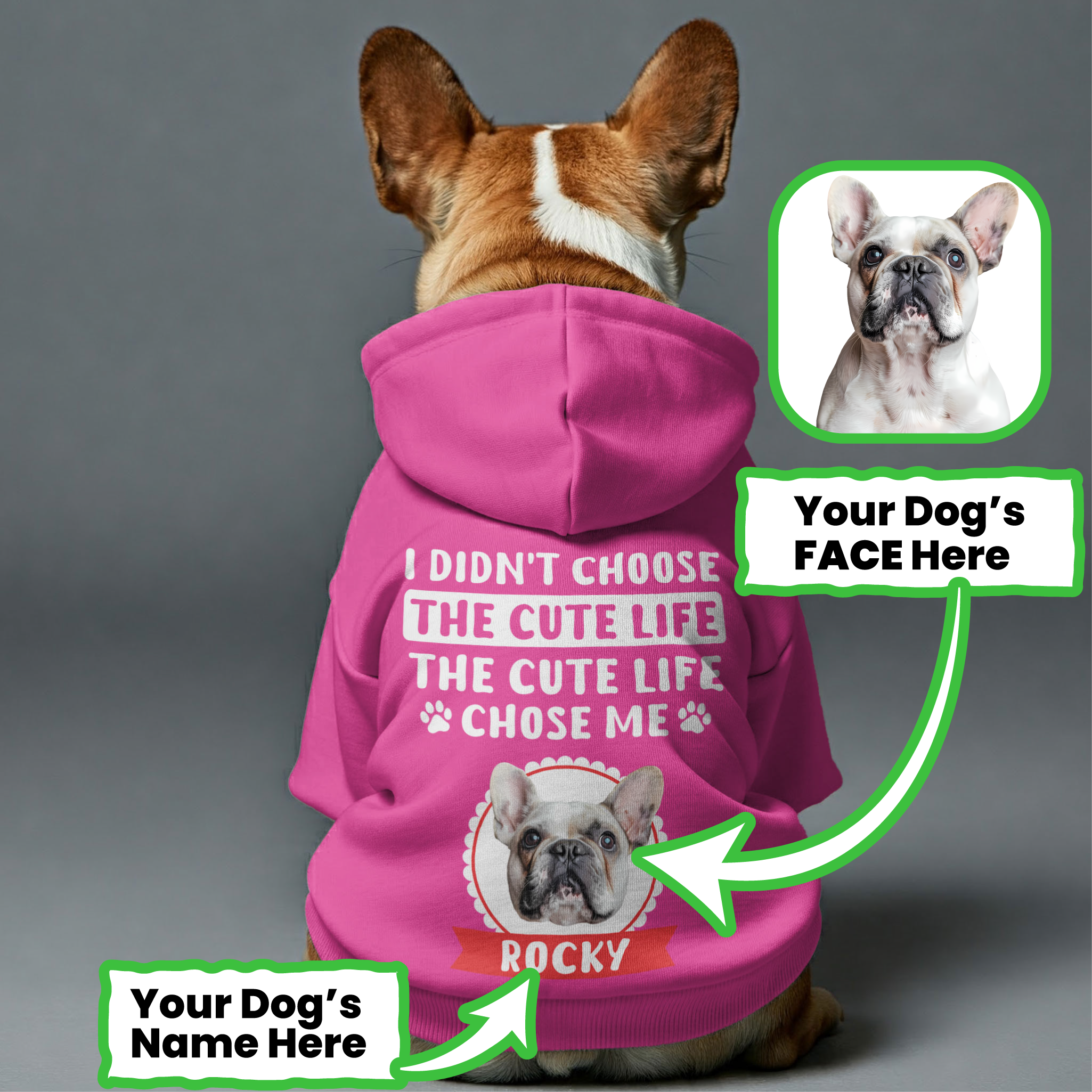French Bulldog Cute Pet Sweatshirt for Training Sessions-fadou