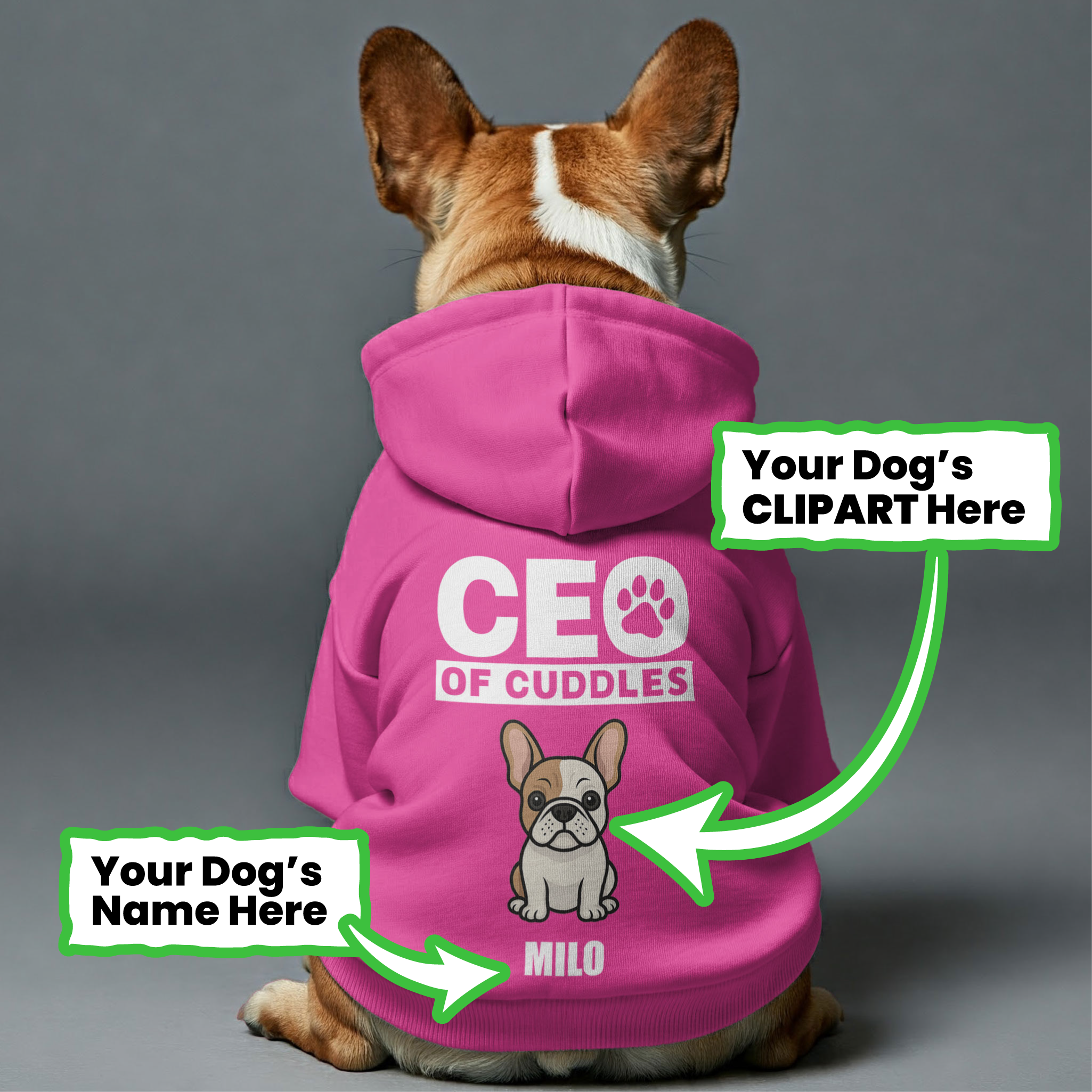 Frenchie Personalized Dog Hoodie for Brachycephalic Dogs-fadou