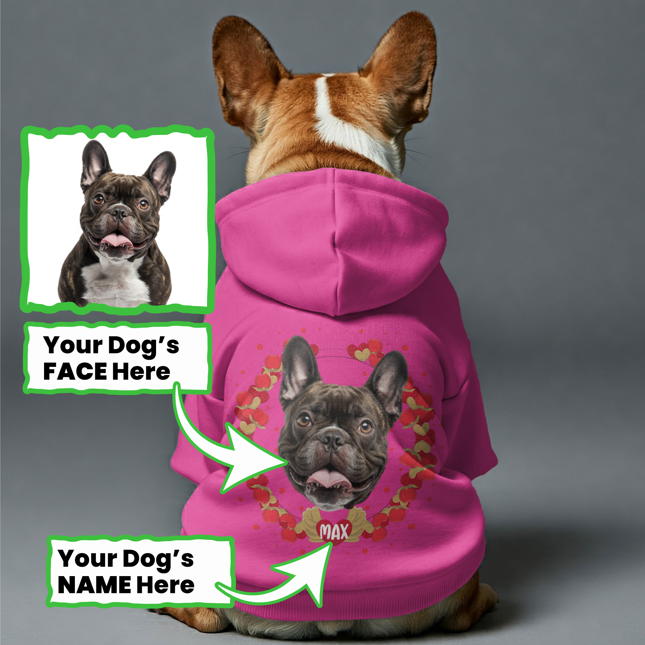 French Bulldog Cozy Cotton Sweatshirt for Frenchie Fans-fadou