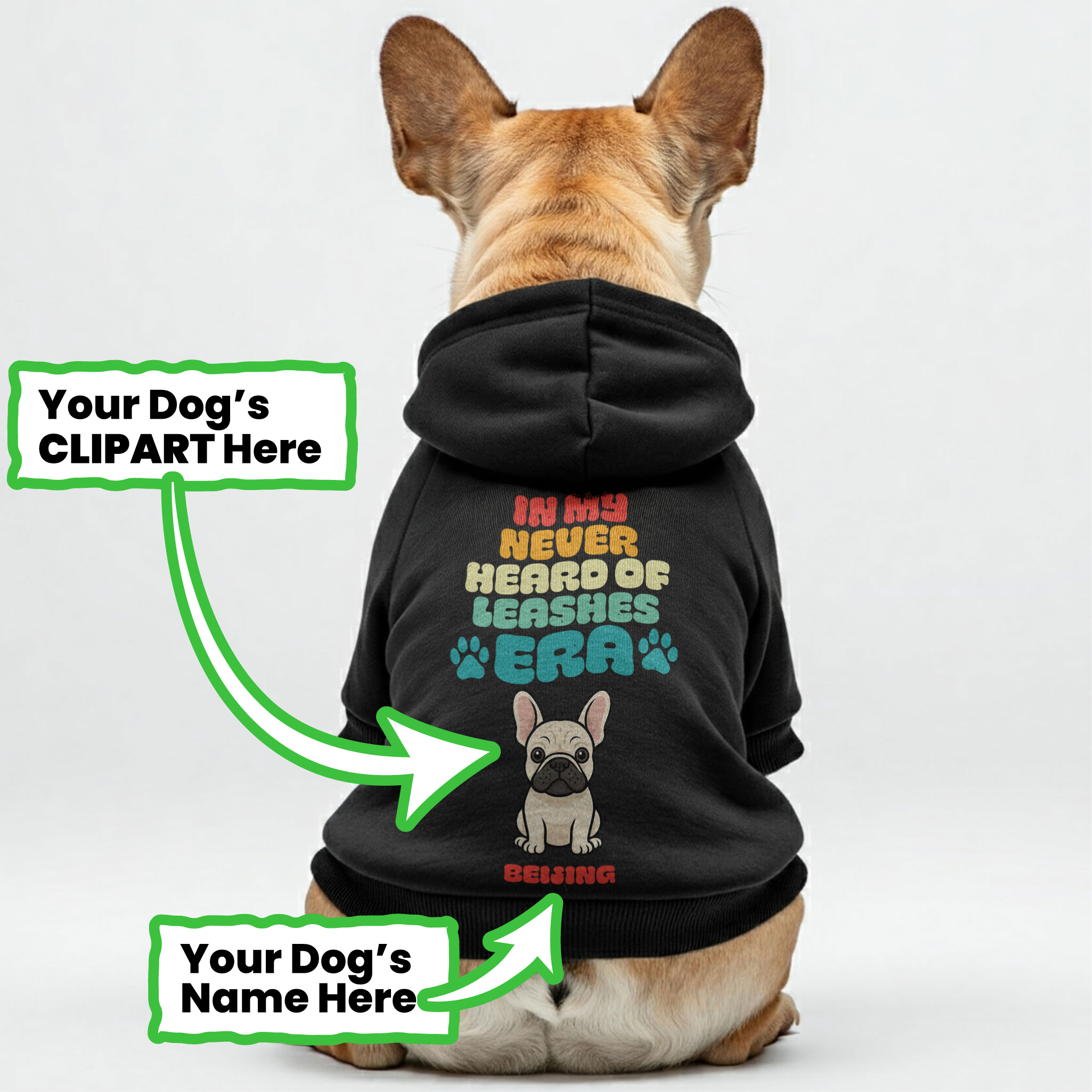 What Leash ? - Personalized French Bulldog for French Bulldogs-fadou