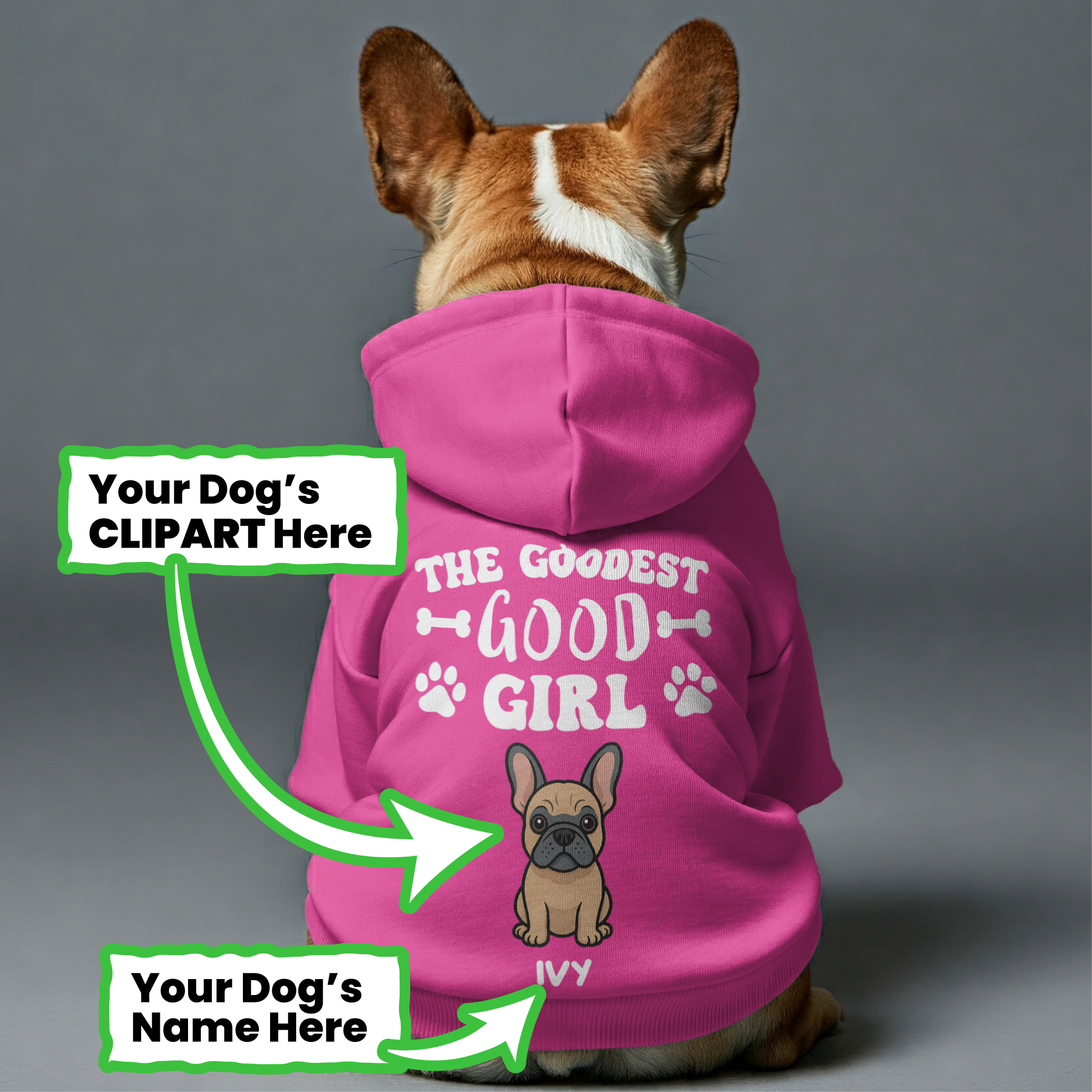 The French Bulldog Pet Sweatshirt for Outdoor Adventures-fadou