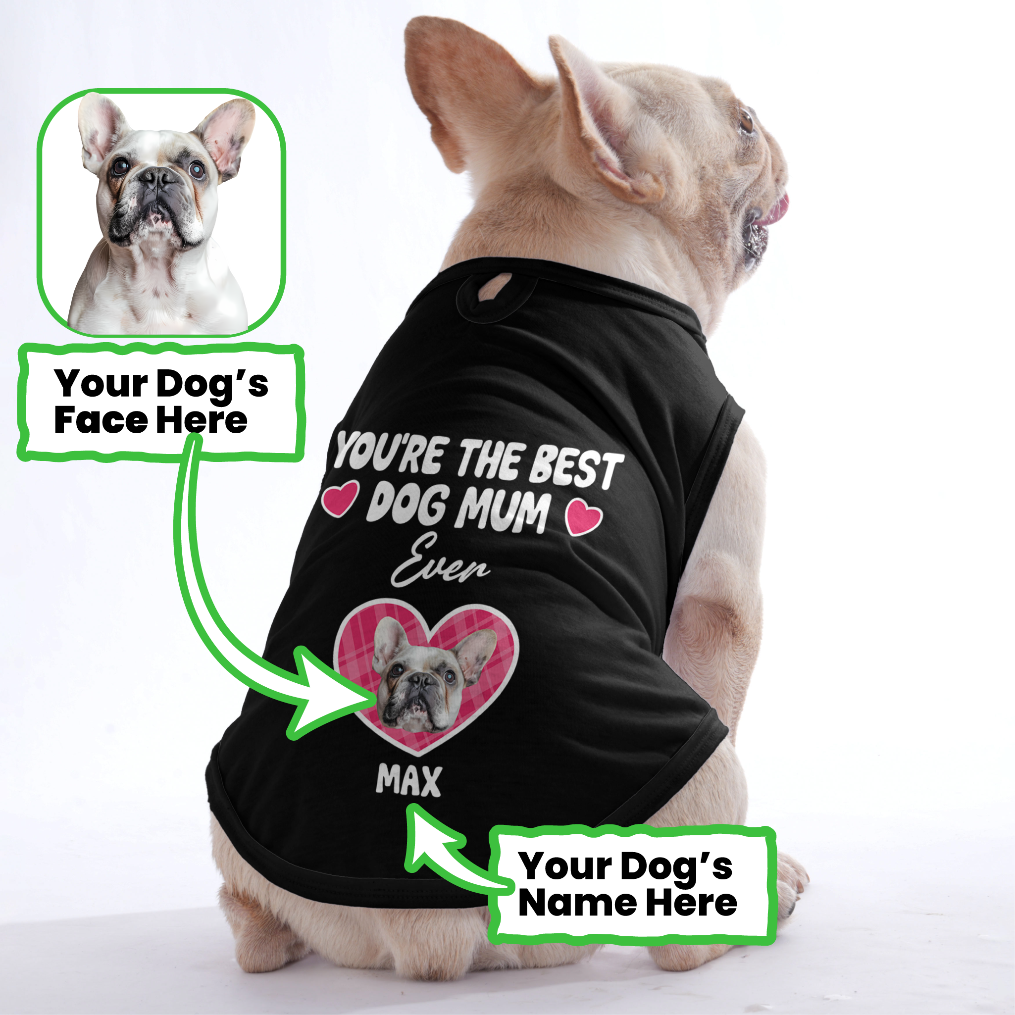 French Bulldog Personalized Graphic Tee for Dog Park Days-fadou