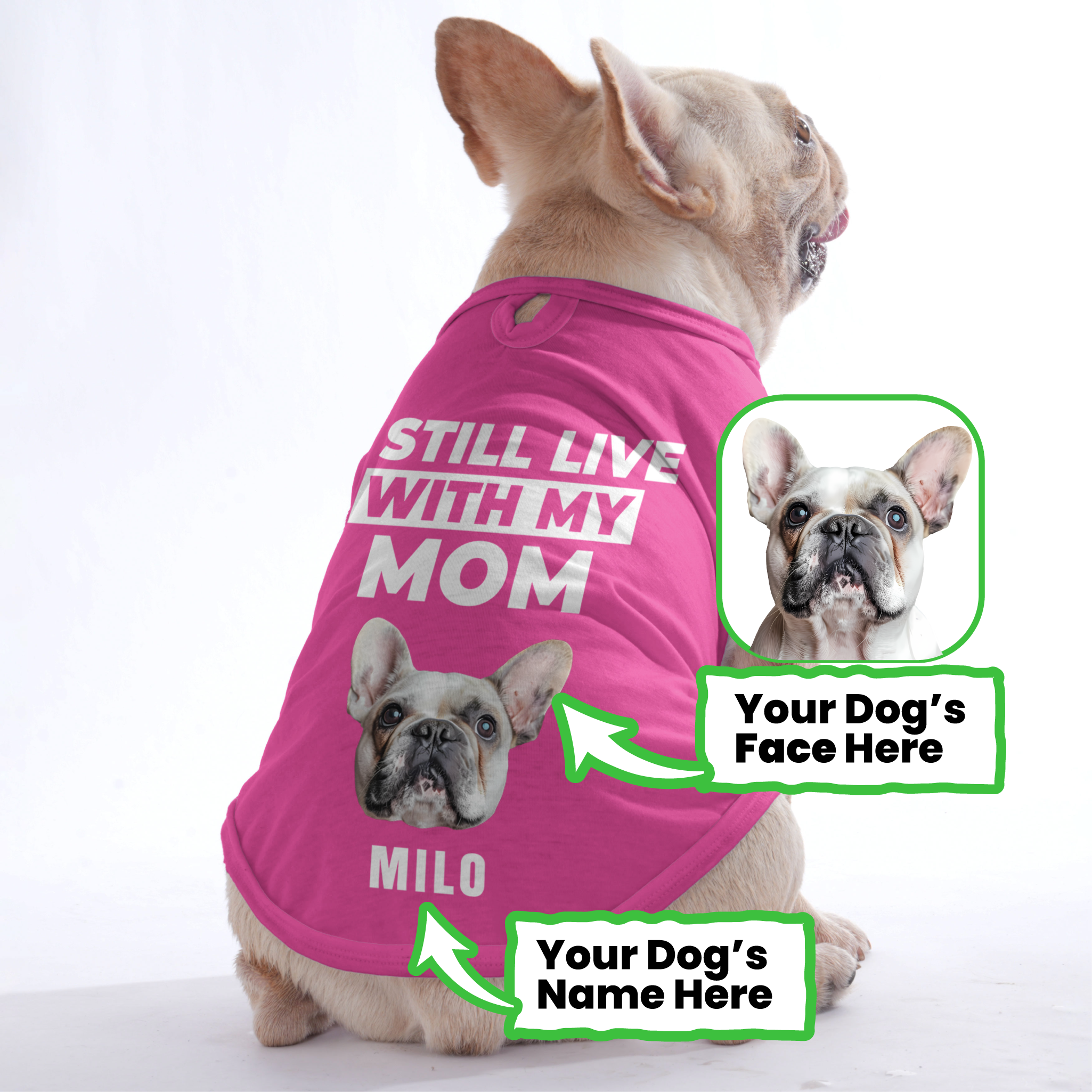 Custom Personalized Dog Lover Tee for Frenchie Enthusiasts-fadou