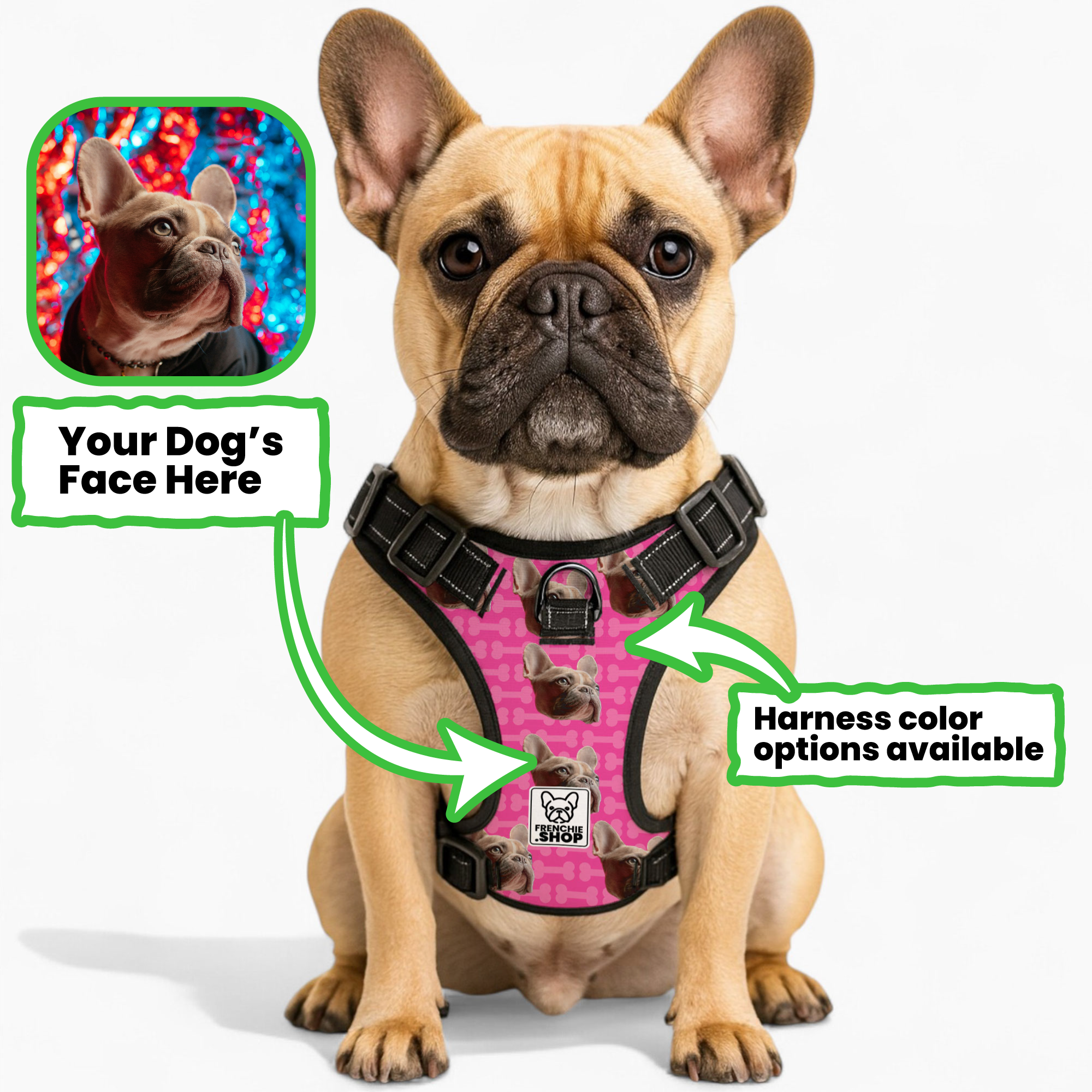 Personalized No-Pull Walking Harness for Flat-Face Breeds-fadou