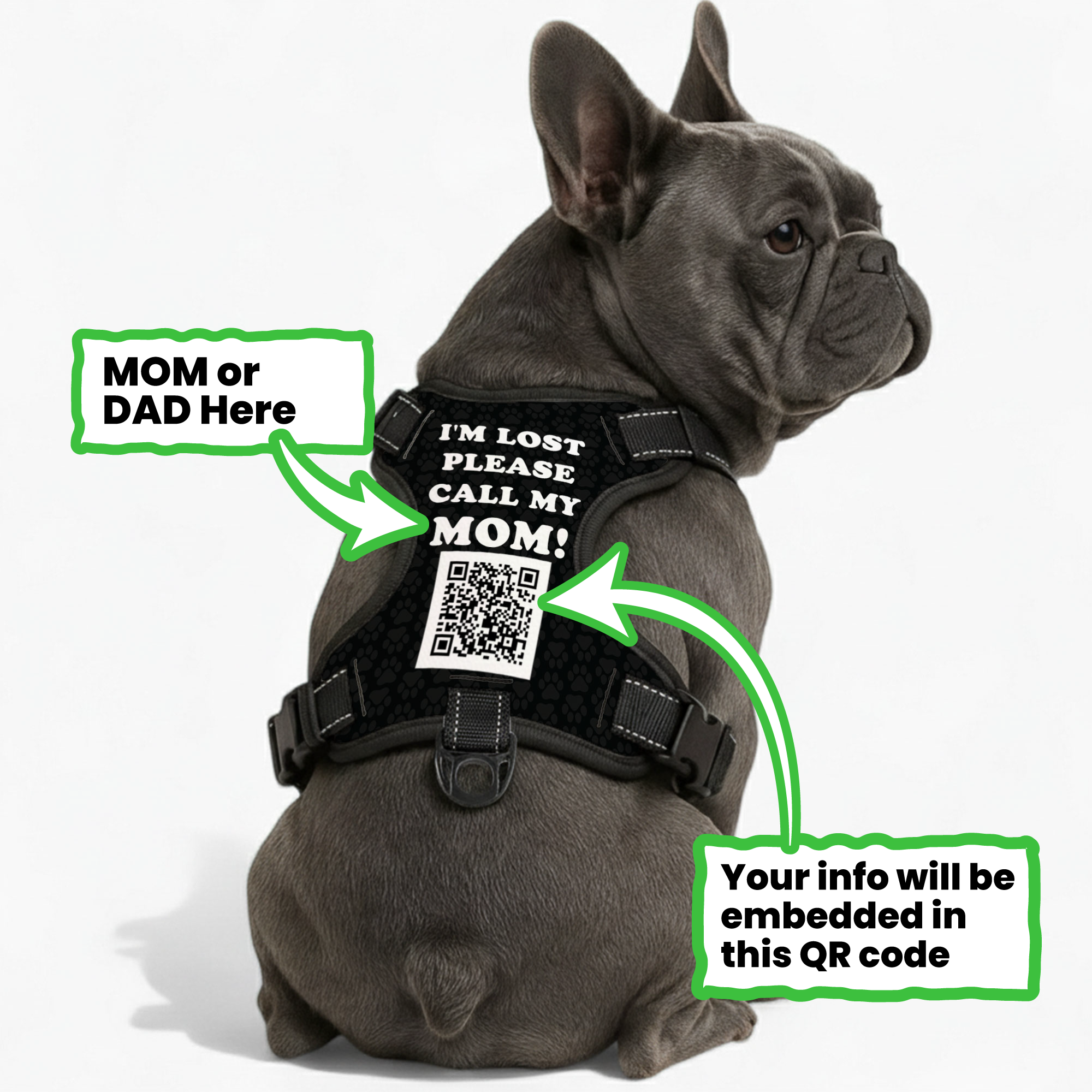 Personalized No-Pull Walking Harness for Brachycephalic Dogs-fadou