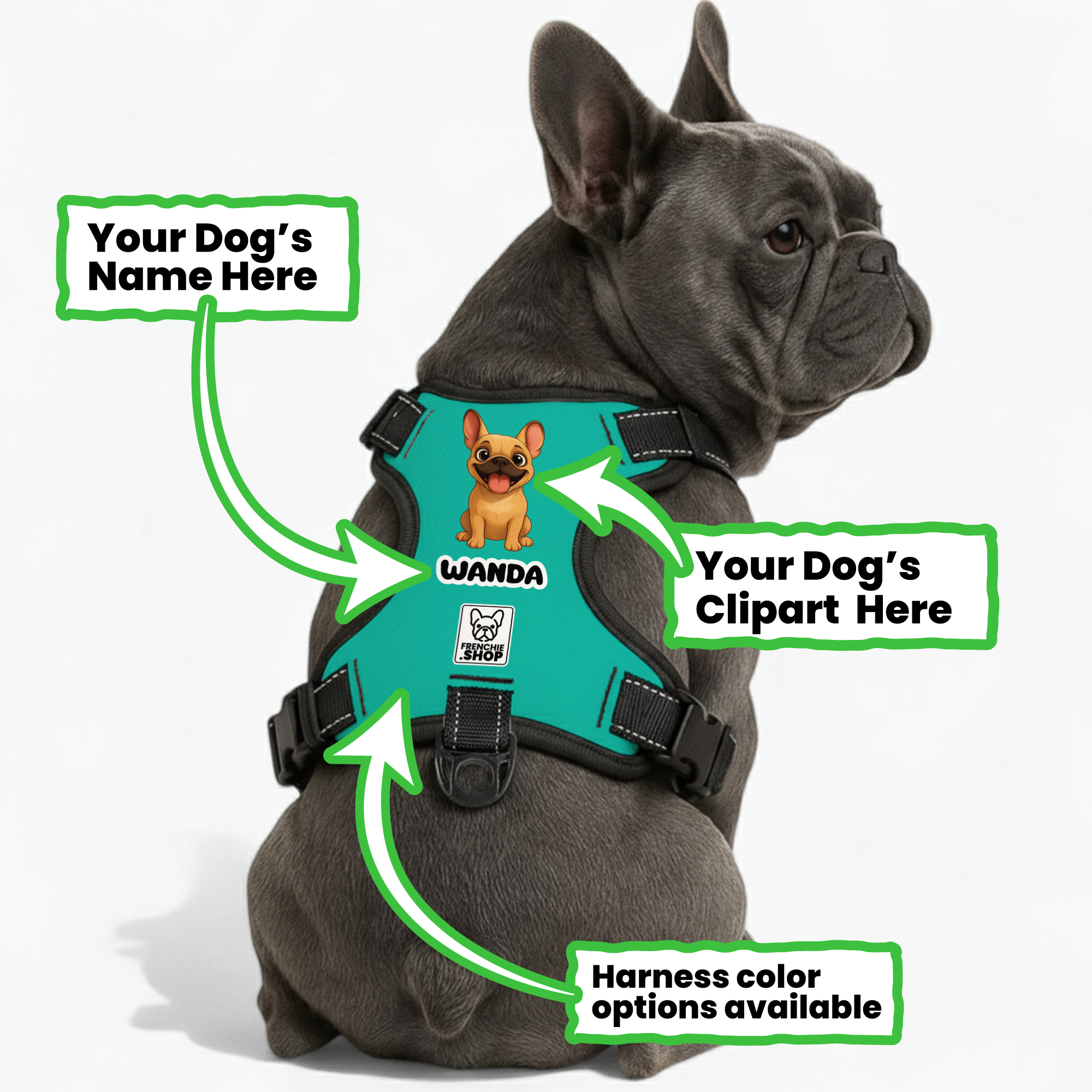Personalized No-Pull No-Pull Vest for Training Sessions-fadou