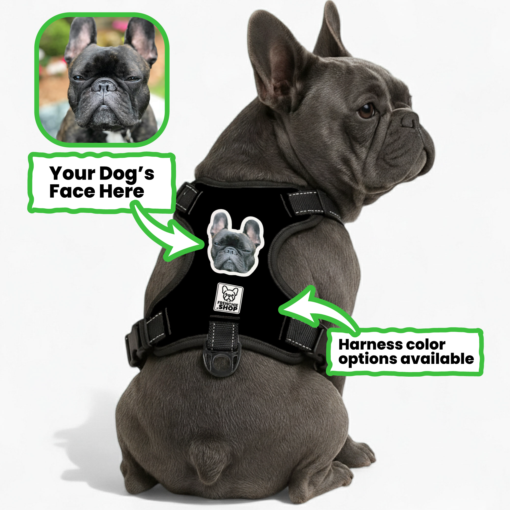 Personalized No-Pull Chest Harness for Short-Nosed Dogs-fadou