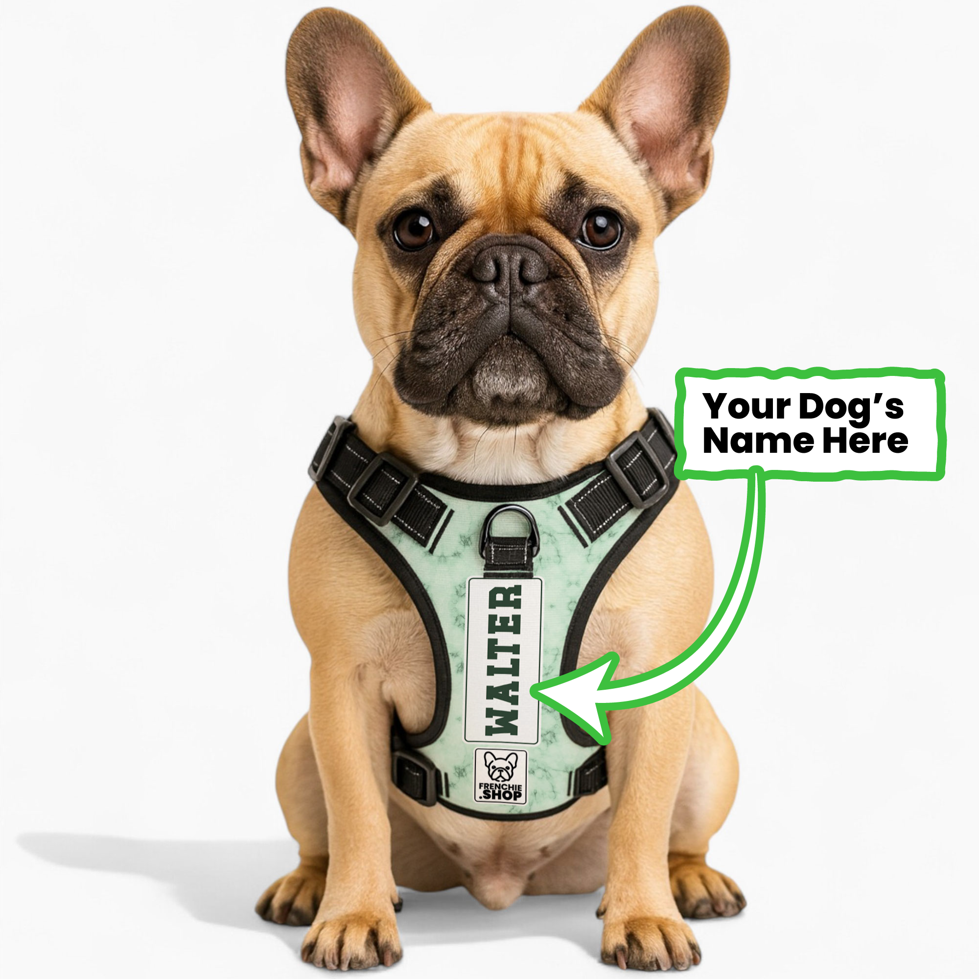 Personalized No-Pull No-Pull Vest for Outdoor Adventures-fadou