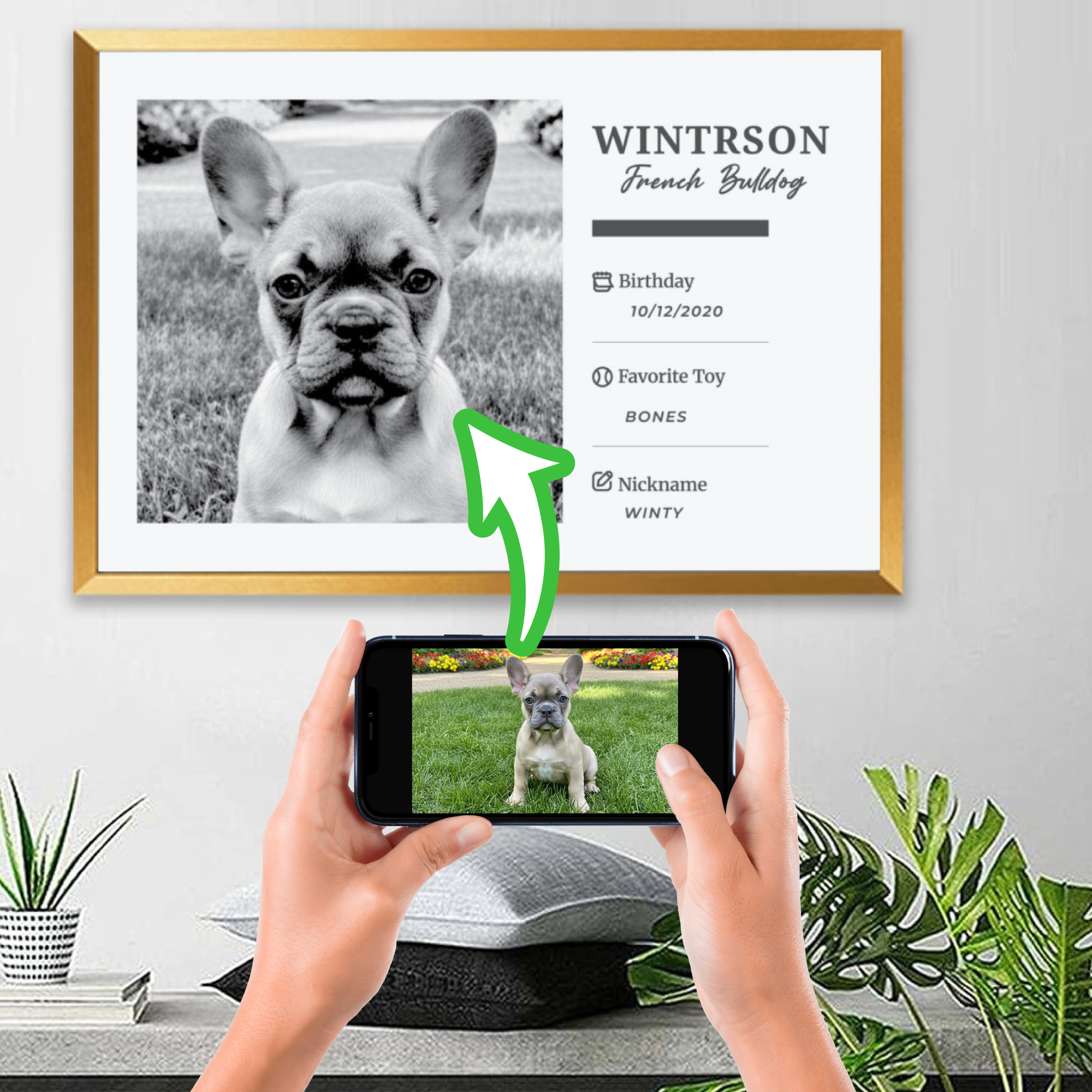 Tinman Personalized Framed Poster for Frenchie Enthusiasts-fadou