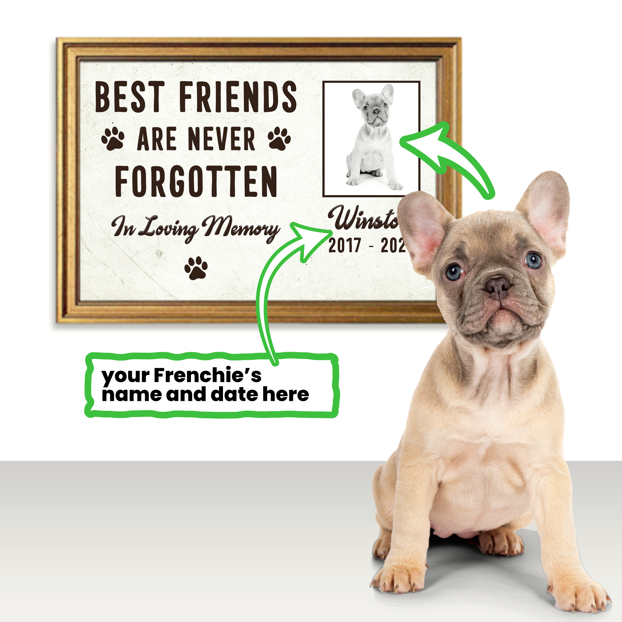French Bulldog Personalized Canvas Wall Art for Pet Culture-fadou