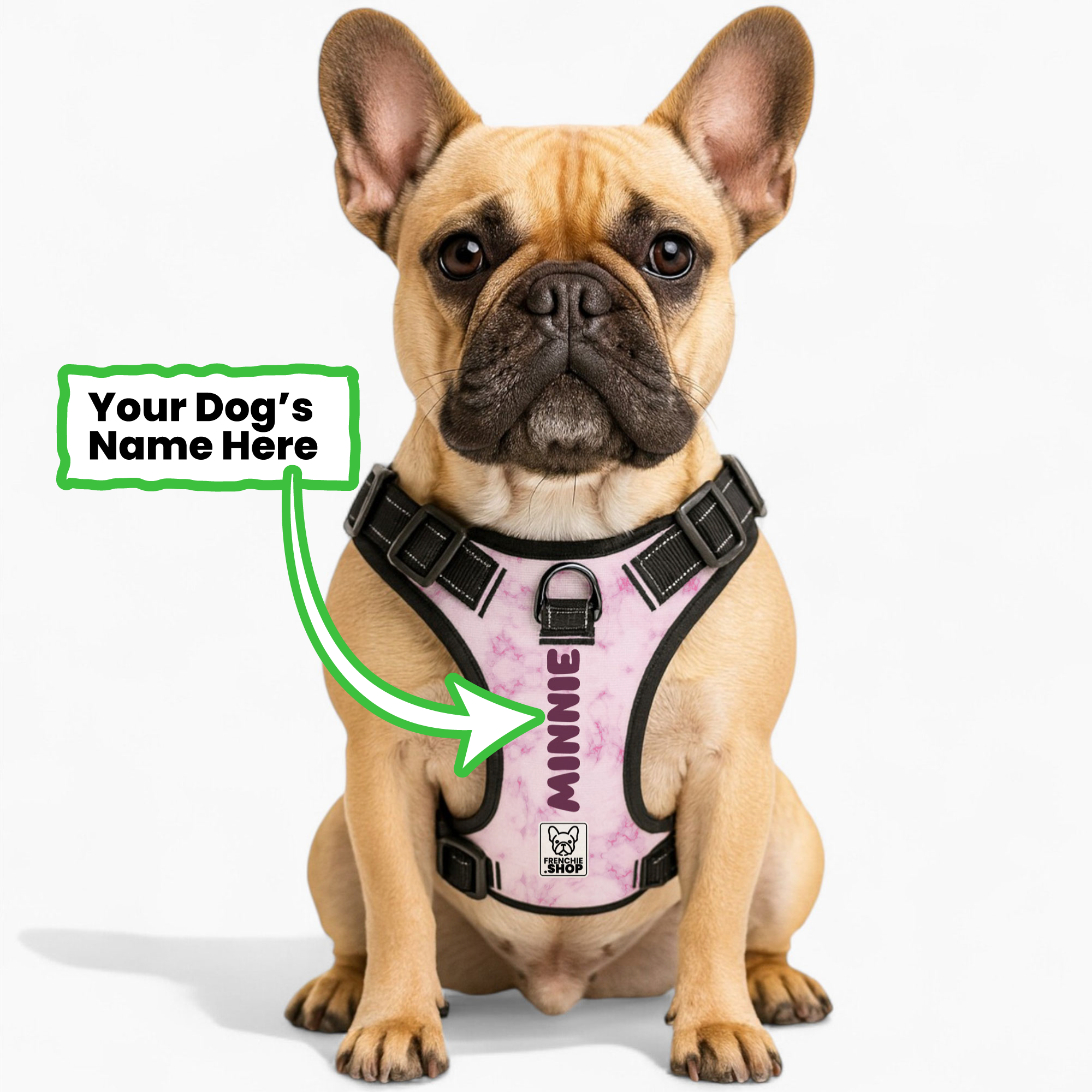 Personalized No-Pull Walking Harness for Short-Nosed Dogs-fadou