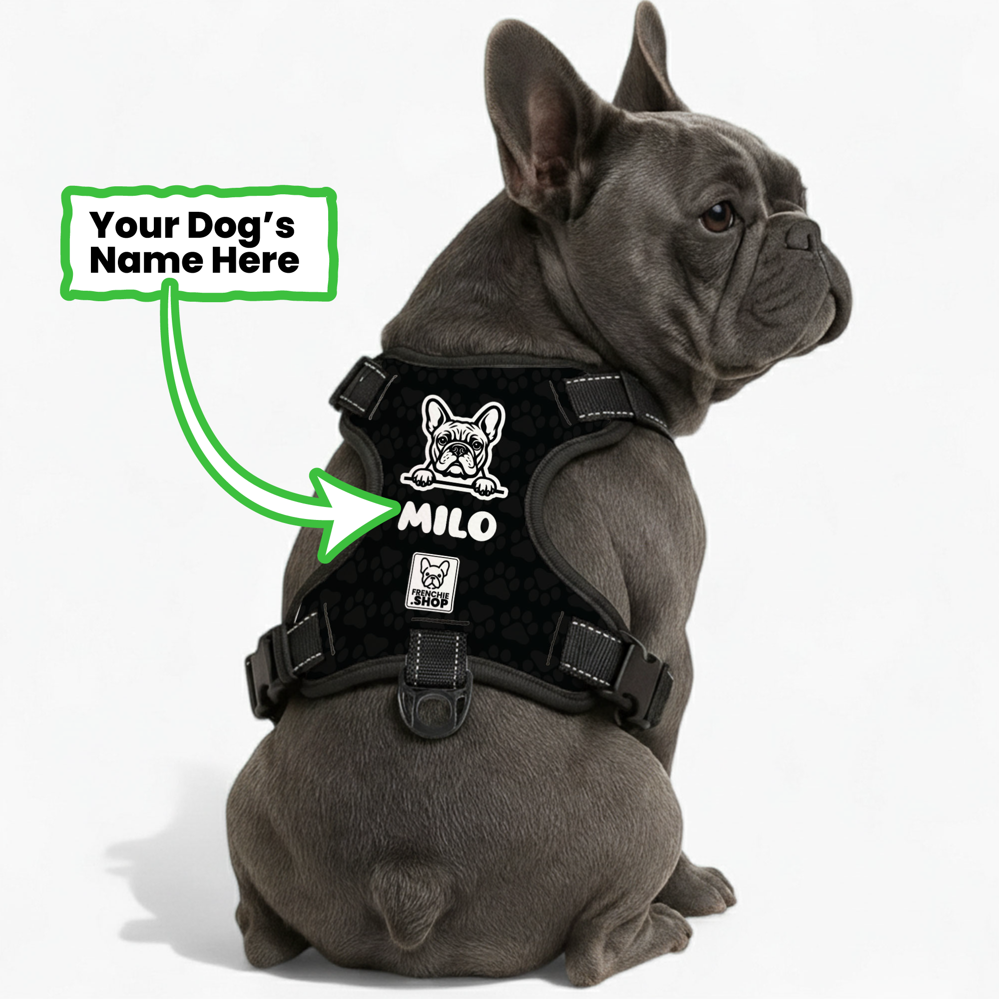 Personalized No-Pull Dog Harness for Outdoor Adventures-fadou