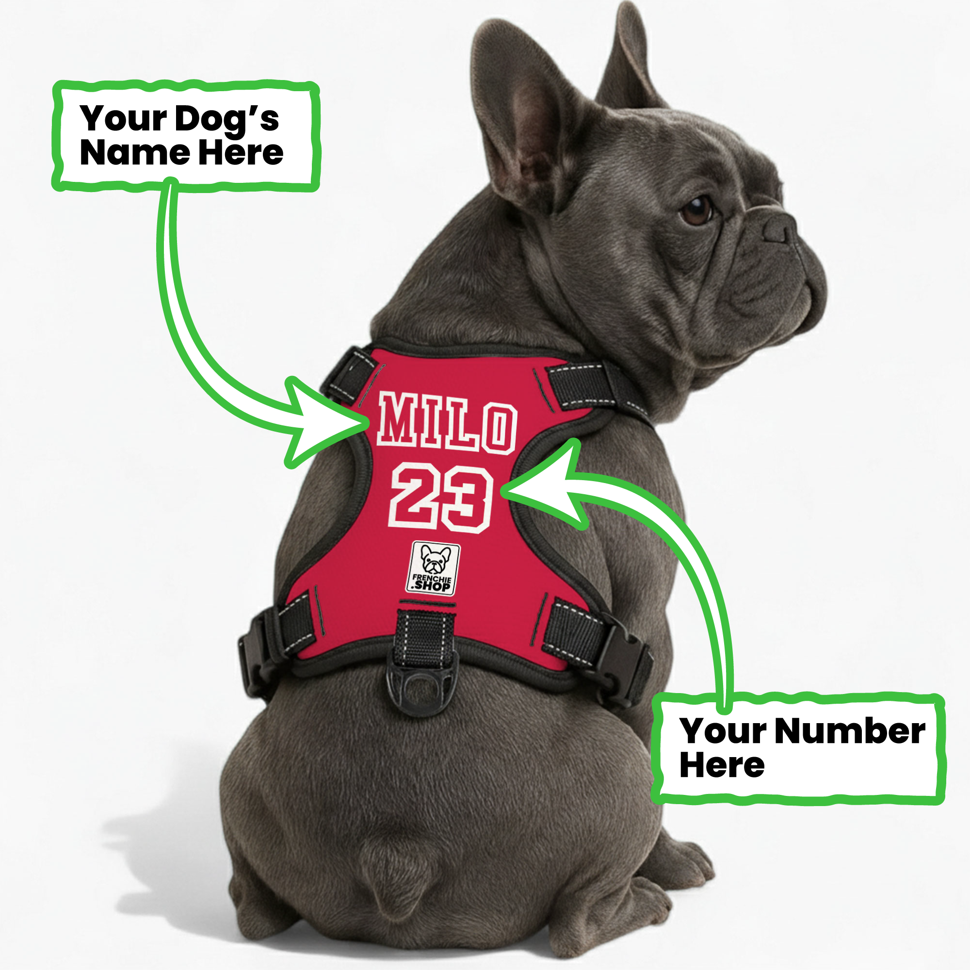 Personalized No-Pull Walking Harness for French Bulldogs-fadou