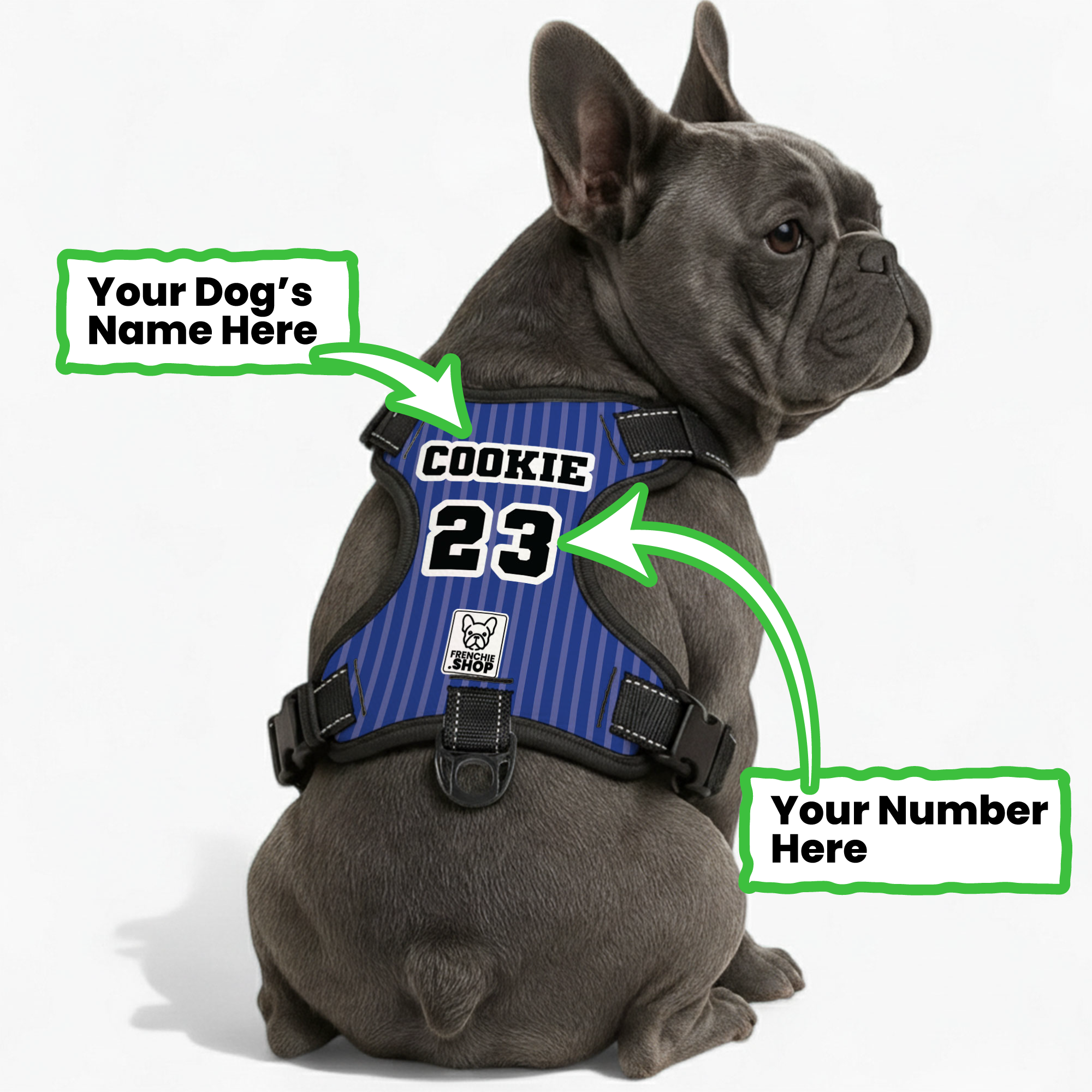 Personalized No-Pull No-Pull Vest for Brachycephalic Dogs-fadou