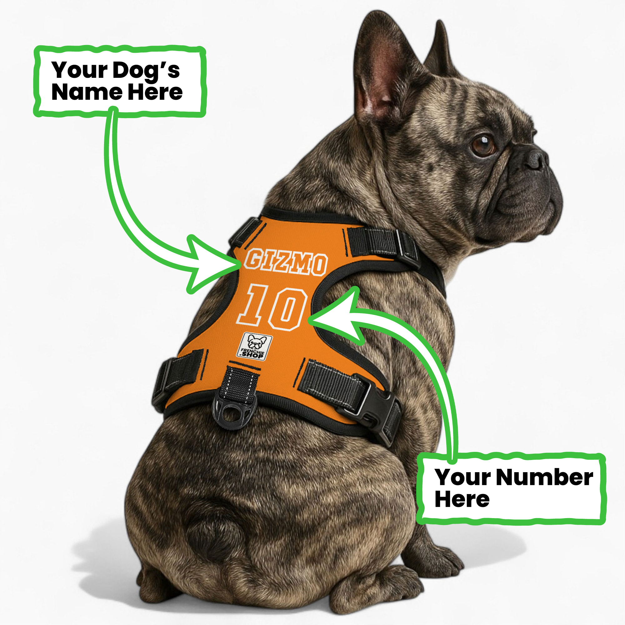 Personalized No-Pull Chest Harness for Flat-Face Breeds-fadou