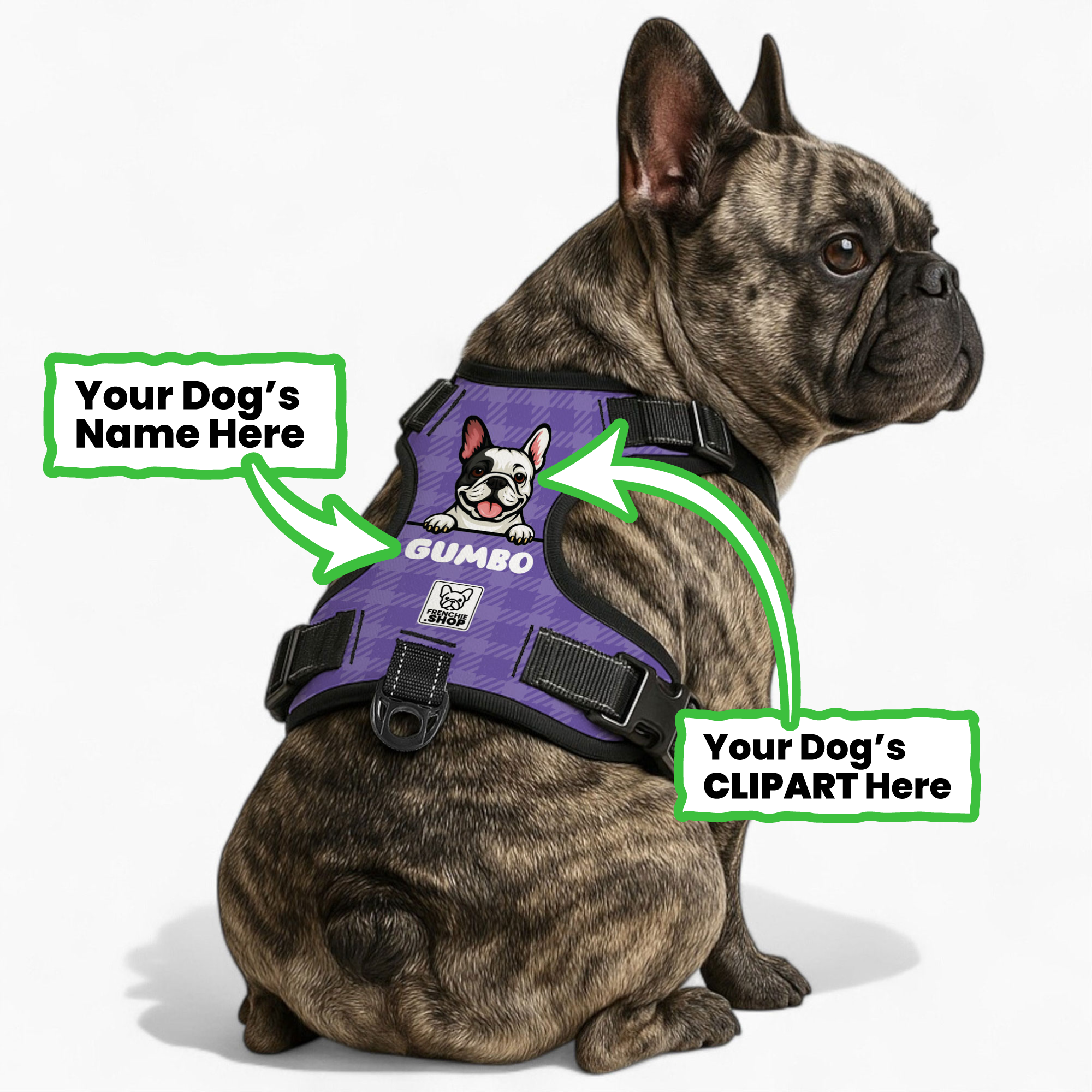 Personalized No-Pull Chest Harness for Brachycephalic Dogs-fadou