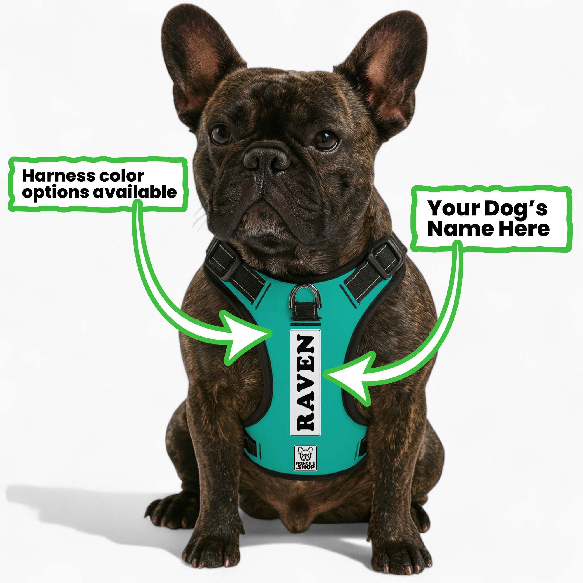 Personalized No-Pull Dog Harness for Brachycephalic Dogs-fadou