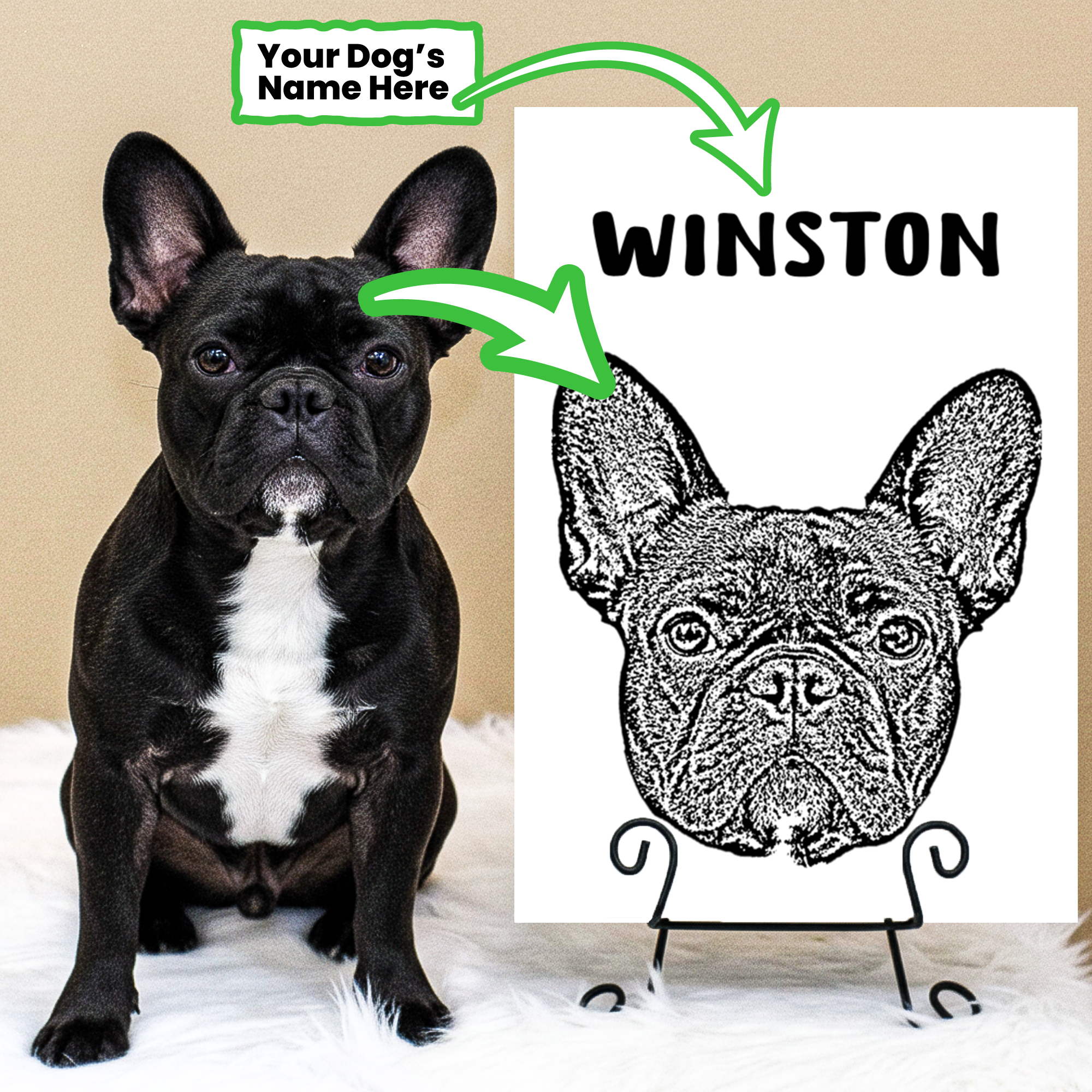 French Bulldog Personalized Accessory for Frenchie Fans-fadou