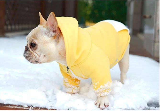 French Bulldog Warm Pet Parent Pullover for Pet Culture-fadou