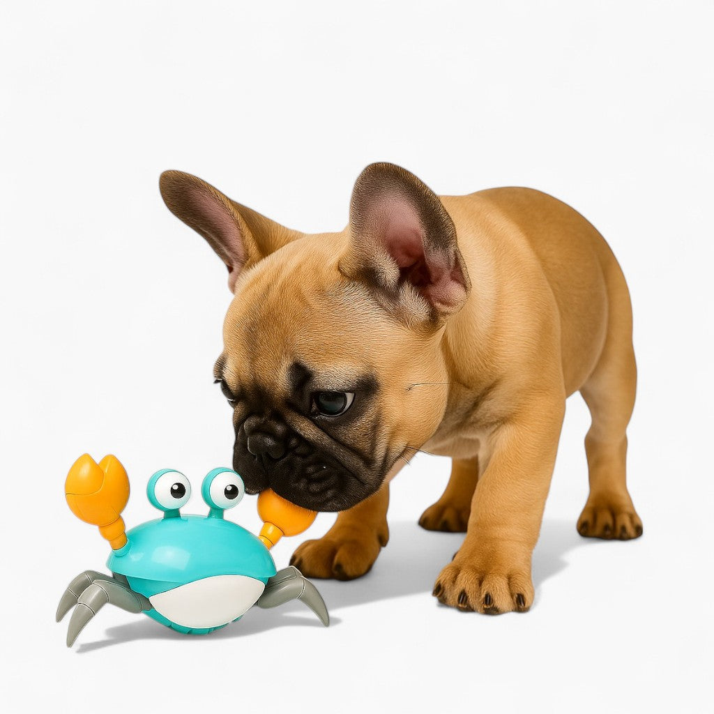 French Bulldog Interactive Chew Toy for Training Sessions-fadou