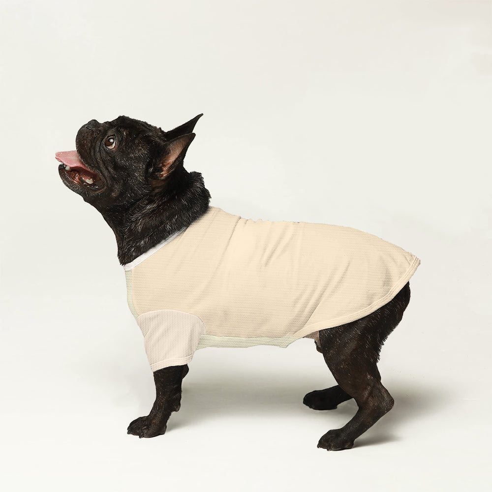 Jude French Bulldog Knit Sweater for Brachycephalic Dogs-fadou