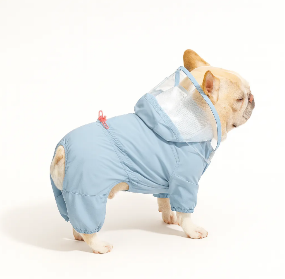 Raincoats