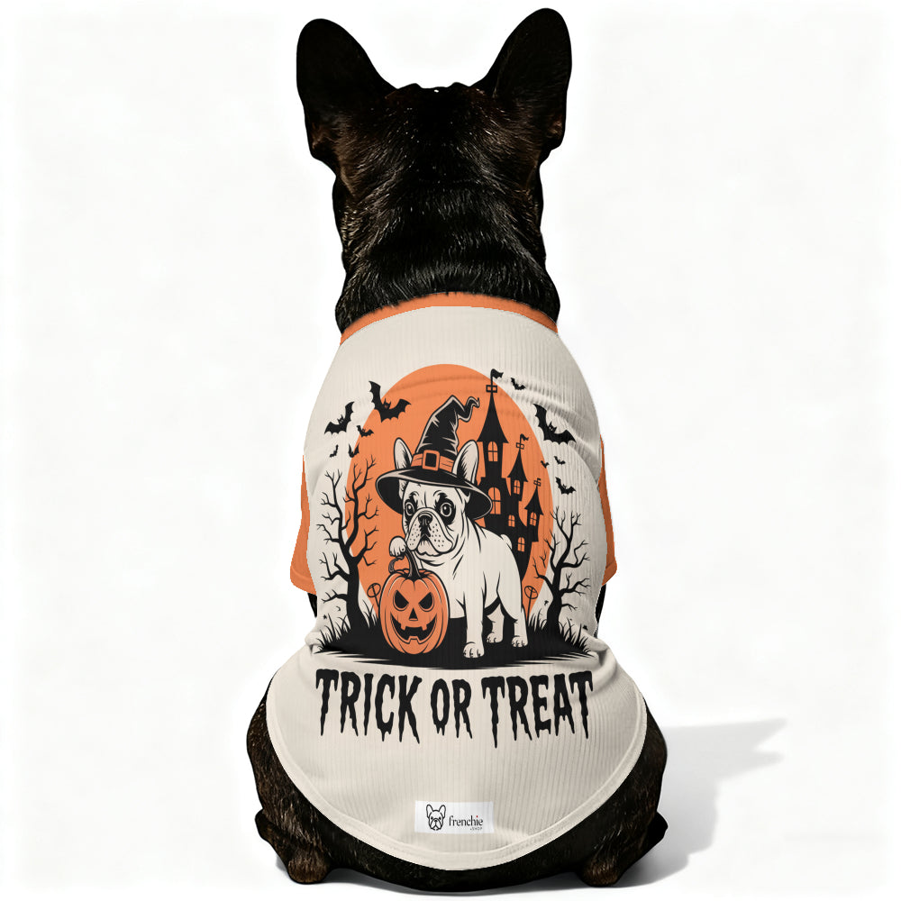 Laura French Bulldog Knit Sweater for Training Sessions-fadou