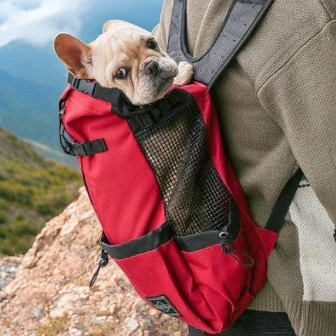Frenchie Backpack™ [v1] for Bulldog Fans for French Bulldogs-fadou