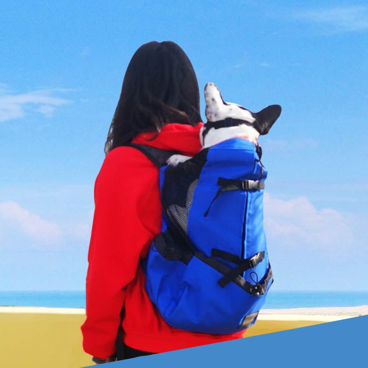 Frenchie Backpack™ [v1] for Bulldog Fans for French Bulldogs-fadou