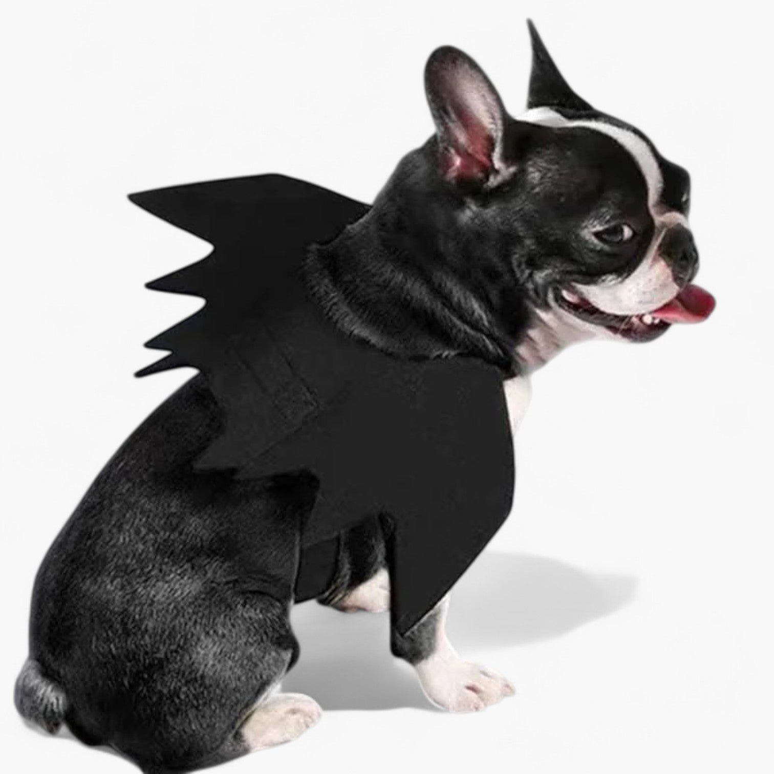 Frenchie Halloween Halloween Cosplay for Short-Nosed Dogs-fadou