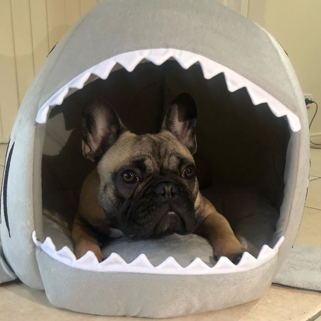 House French Bulldog Cozy Sofa Bed for Flat-Face Breeds-fadou
