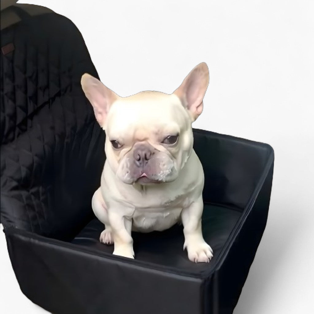 Waterproof Waterproof Accessory for Frenchie Enthusiasts-fadou