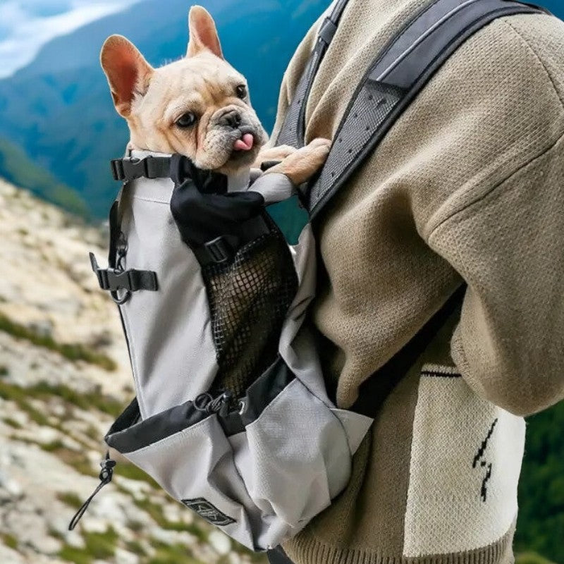 Frenchie Backpack™ [v1] for Bulldog Fans for French Bulldogs-fadou