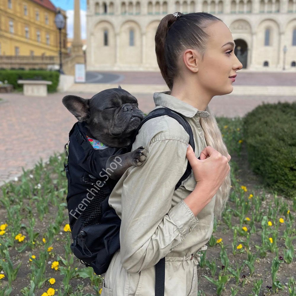 Frenchie Backpack™ [v1] for Bulldog Fans for French Bulldogs-fadou