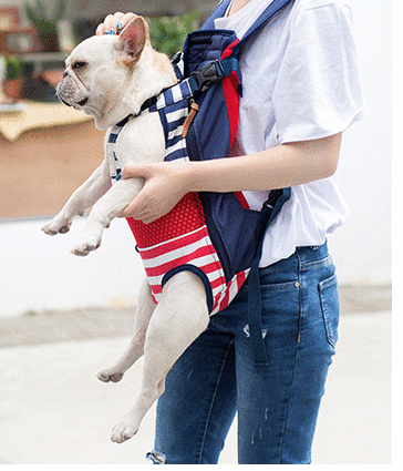 Frenchie Backpack V4 for Bulldog Fans for French Bulldogs-fadou