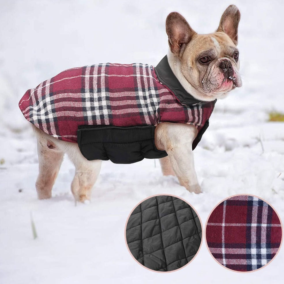 French Bulldog Jacket for Bulldog Fans for French Bulldogs-fadou