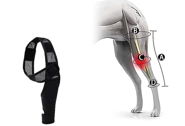 French Bulldog Knee Pads Support Brace for Outdoor Adventures-fadou