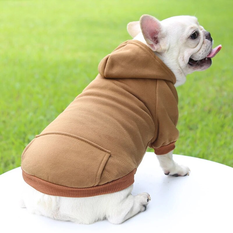 SnugTail French Bulldog Warm Knitwear for Outdoor Adventures-fadou