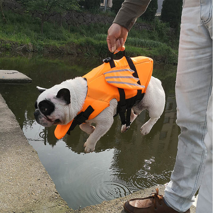 FloatPro Frenchie Walking Harness for Brachycephalic Dogs-fadou